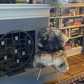 Best sheepskin rug
