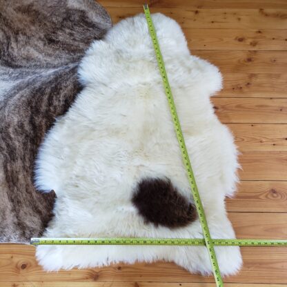 Rare Large Natural Cream + Tan Genuine Sheepskin Rug - real fur throw pelt