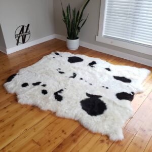 short wool spotted Icelandic sheepskin area rug shown on the floor