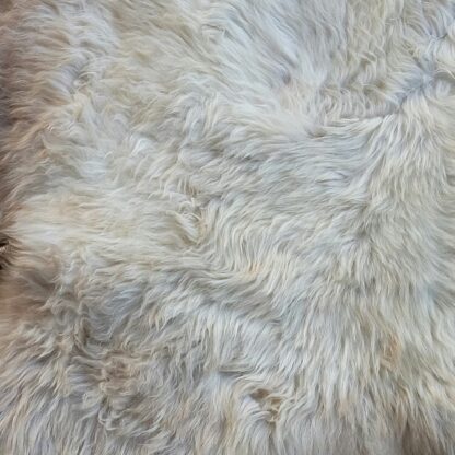 sheepskin rug rare breed sheep