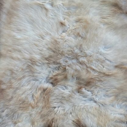 sheepskin rug rare breed sheep