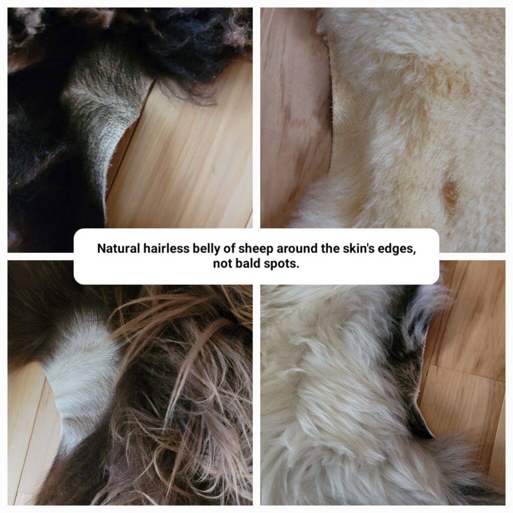 edges of sheepskin hide pictured in a photo