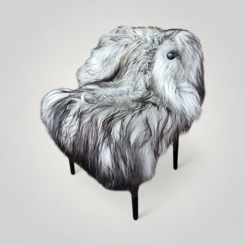 Large natural gray icelandic lambskin throw draped over modern chair