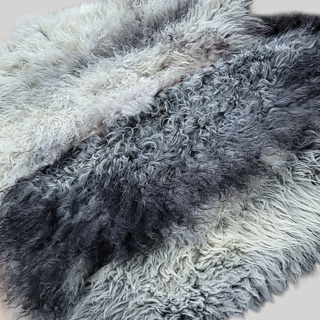 Gotland Sheepskins layered on the floor to show you their distinct gray colors and naturally curly wool.