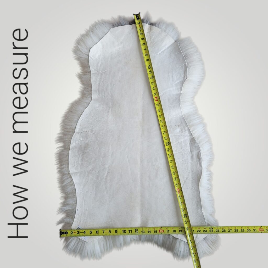 Sheepskin being measured the width and length on the backside of the hide from the longest wool points.