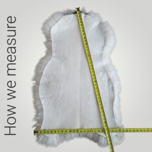 Sheepskin being measured the width and length on the backside of the hide from the longest wool points.