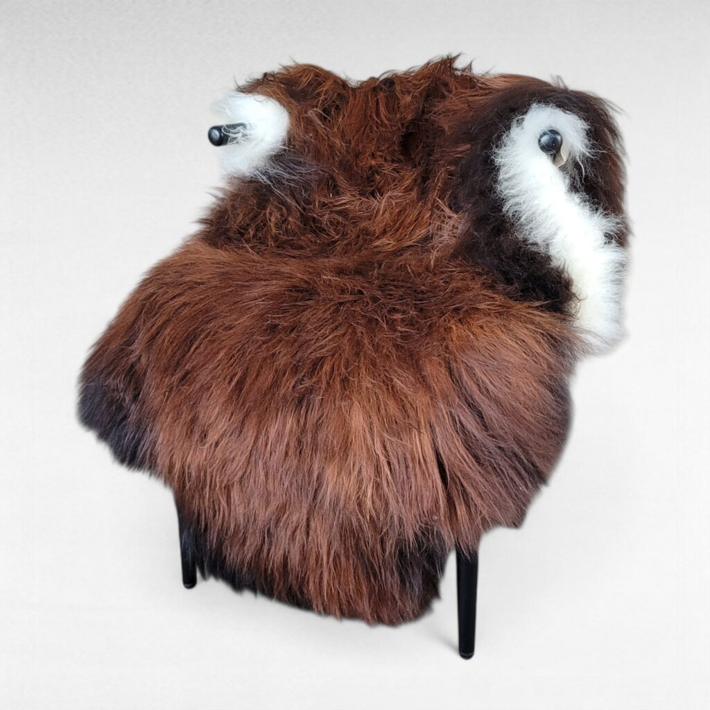 Icelandic Sheepskin - XL Rare Moorit Natural (57" x 36")