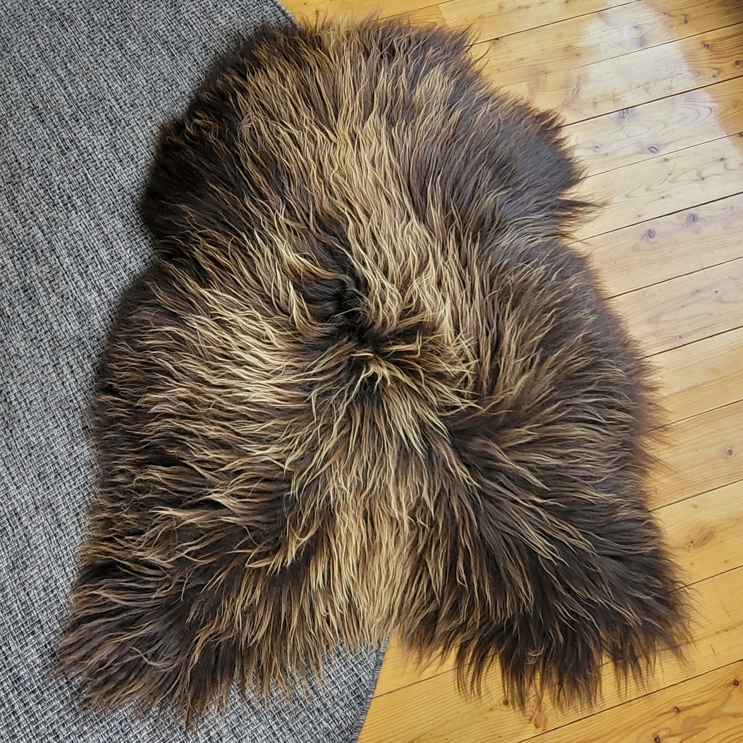 Giant Wide Icelandic Sheepskin - Brown Moorit 55" x 40" Giant Wide Icelandic Sheepskin - Brown Moorit 55" x 40" - Image 8