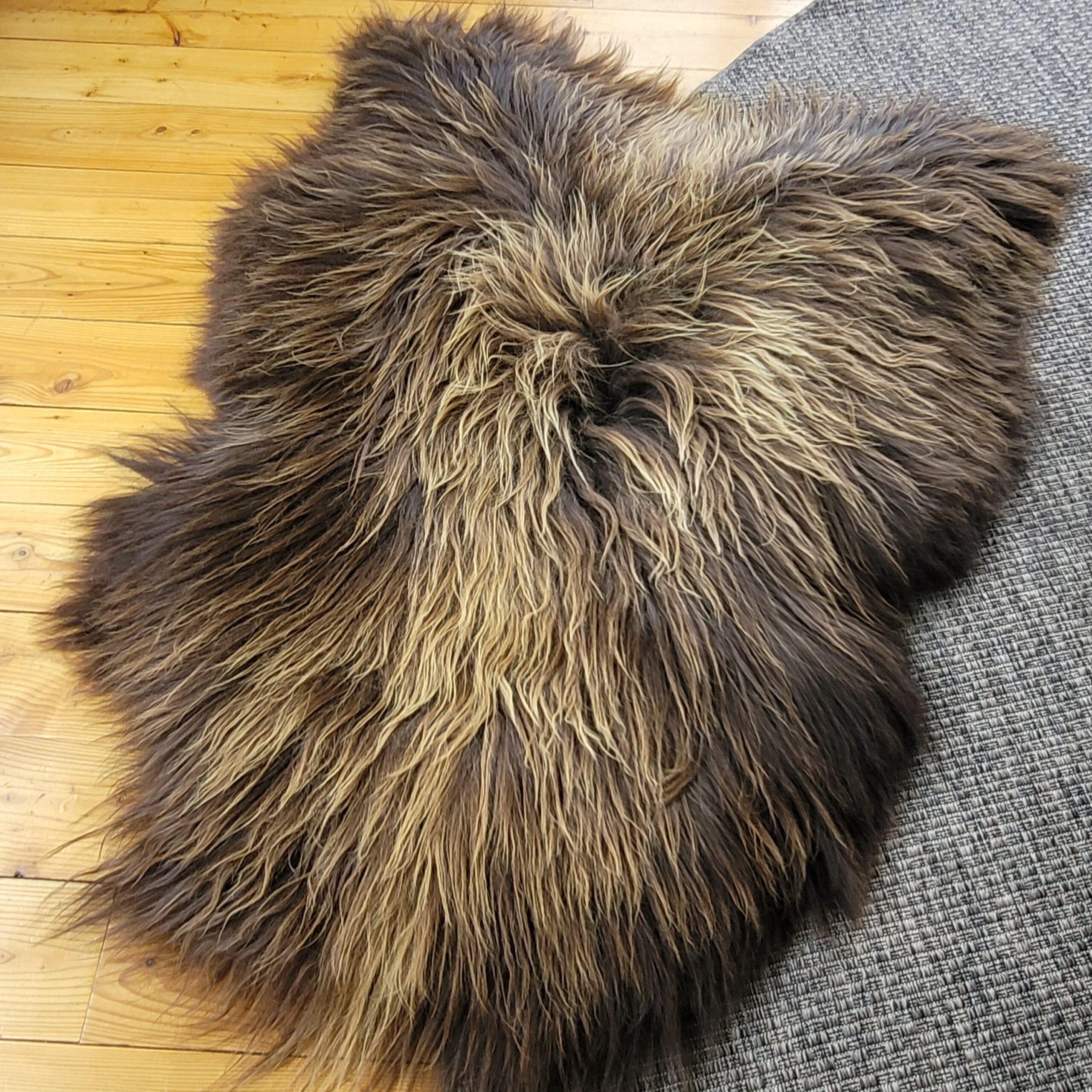 Giant Wide Icelandic Sheepskin - Brown Moorit 55" x 40" Giant Wide Icelandic Sheepskin - Brown Moorit 55" x 40" - Image 9