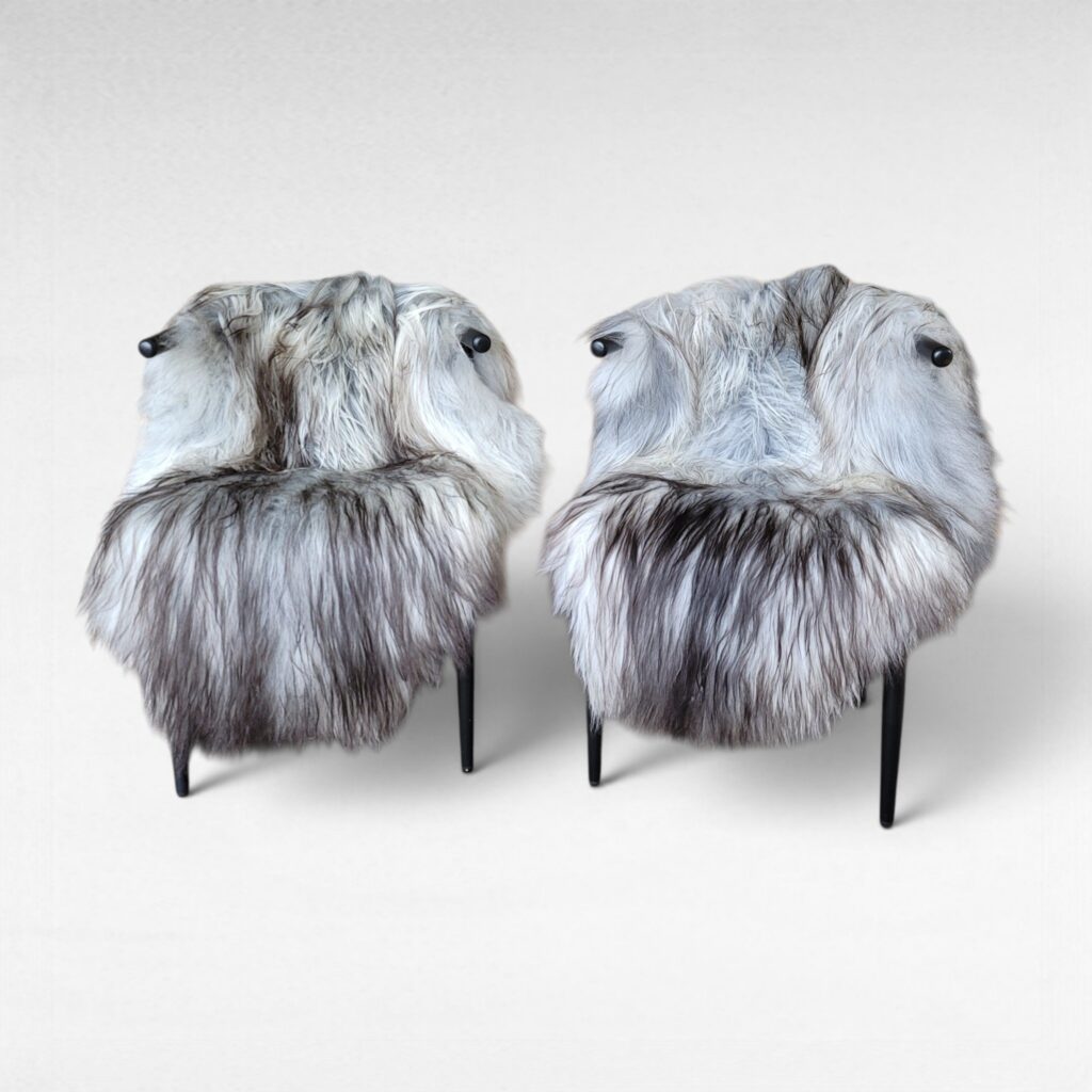 Set of 2 XXL Silver Moorit Icelandic Sheepskins 56"