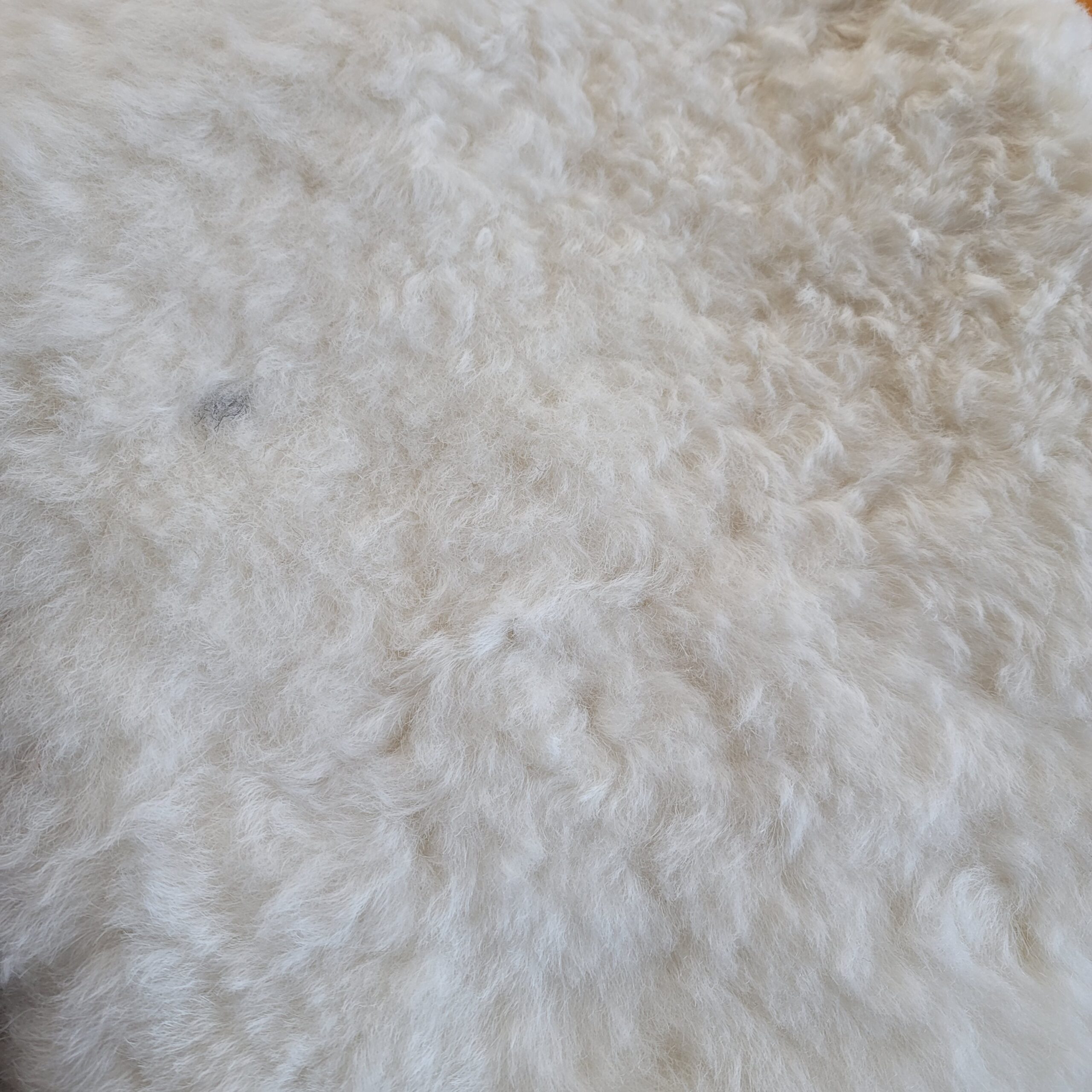 Shorn 3/4" wool Icelandic Lambskin double 72" x 28" - Image 6