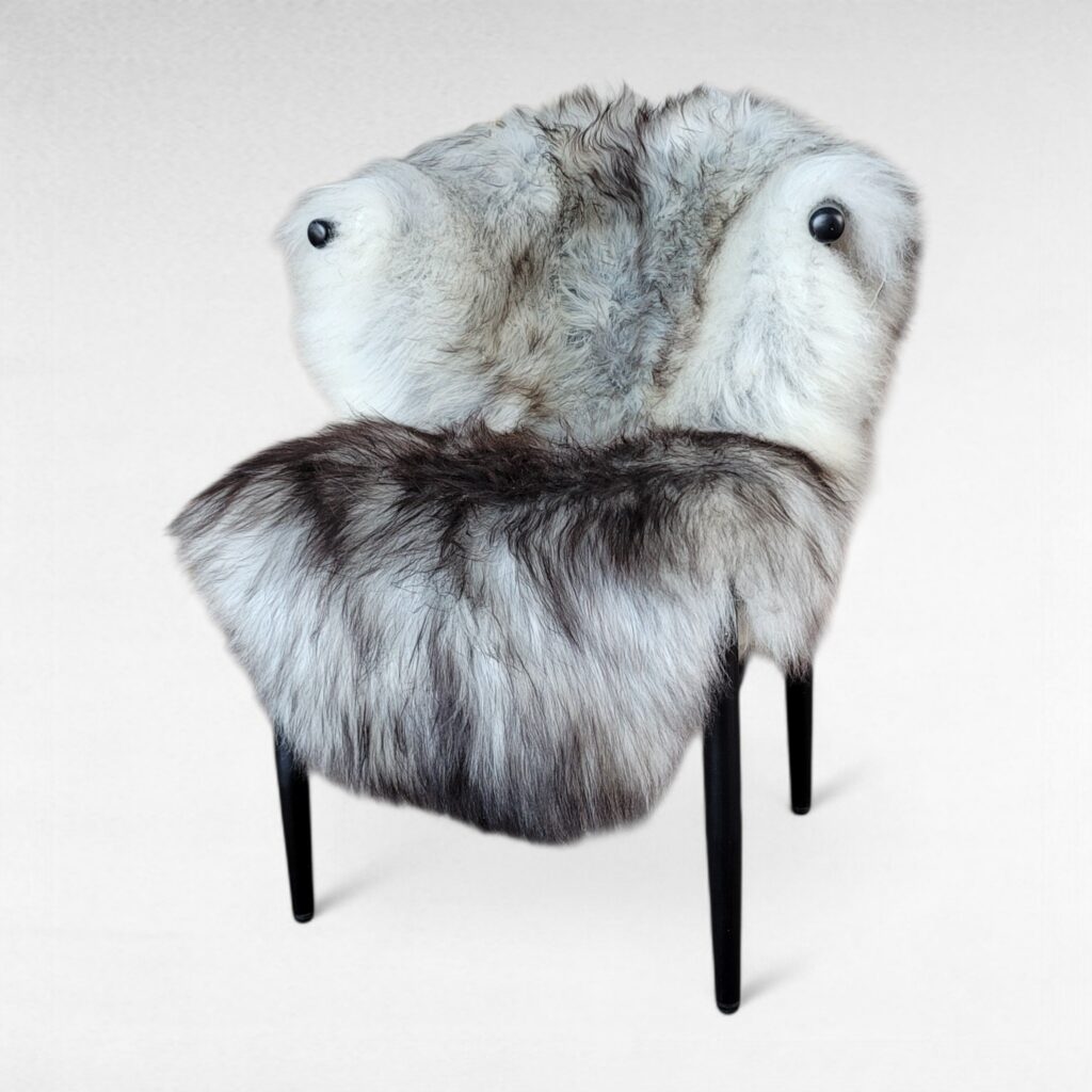 Icelandic Sheepskin - Large Rare Gray Brown Two Tone (51" x 32")