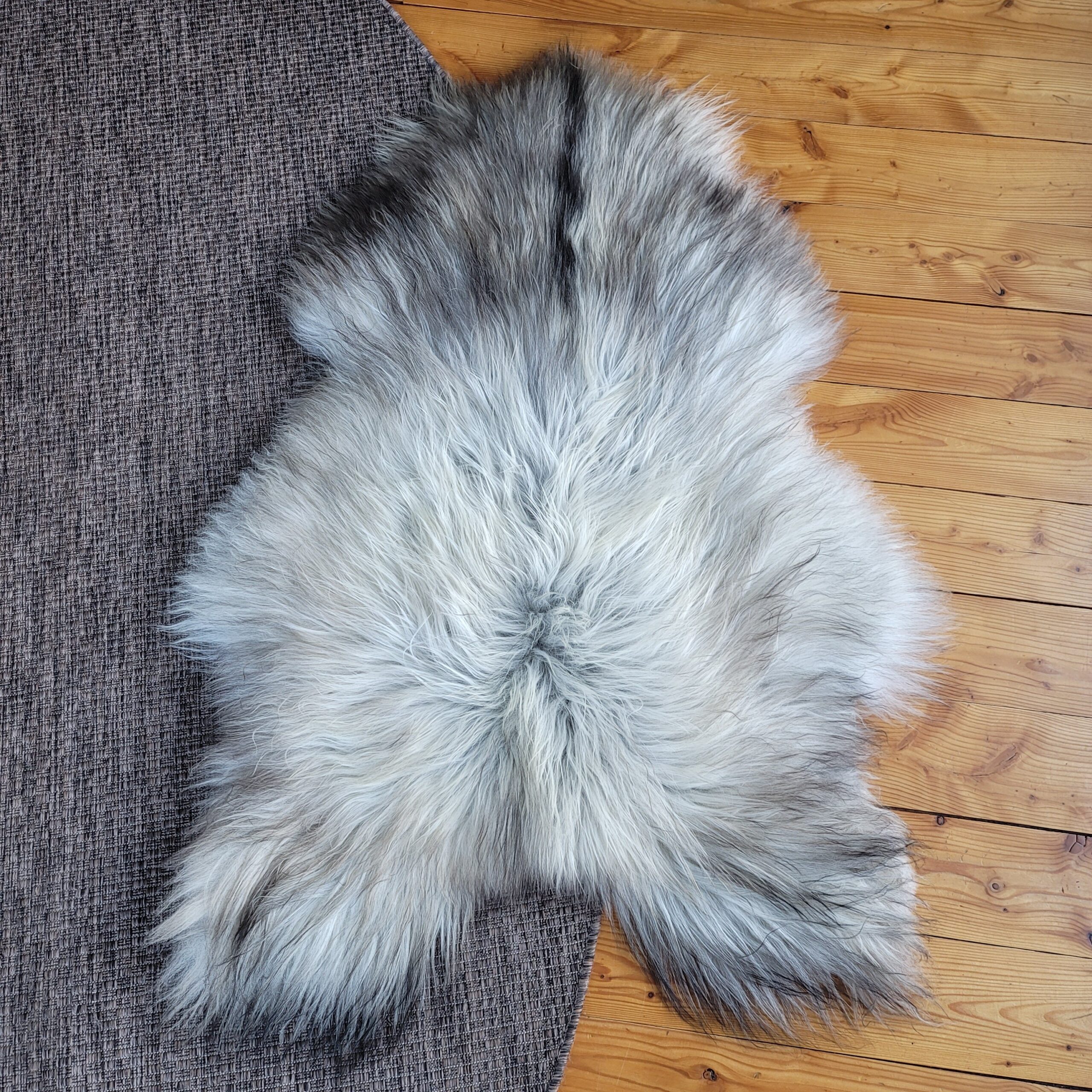 Large Natural Undyed Long Hair Gray White Icelandic Sheepskin 50" x 32" - Image 4