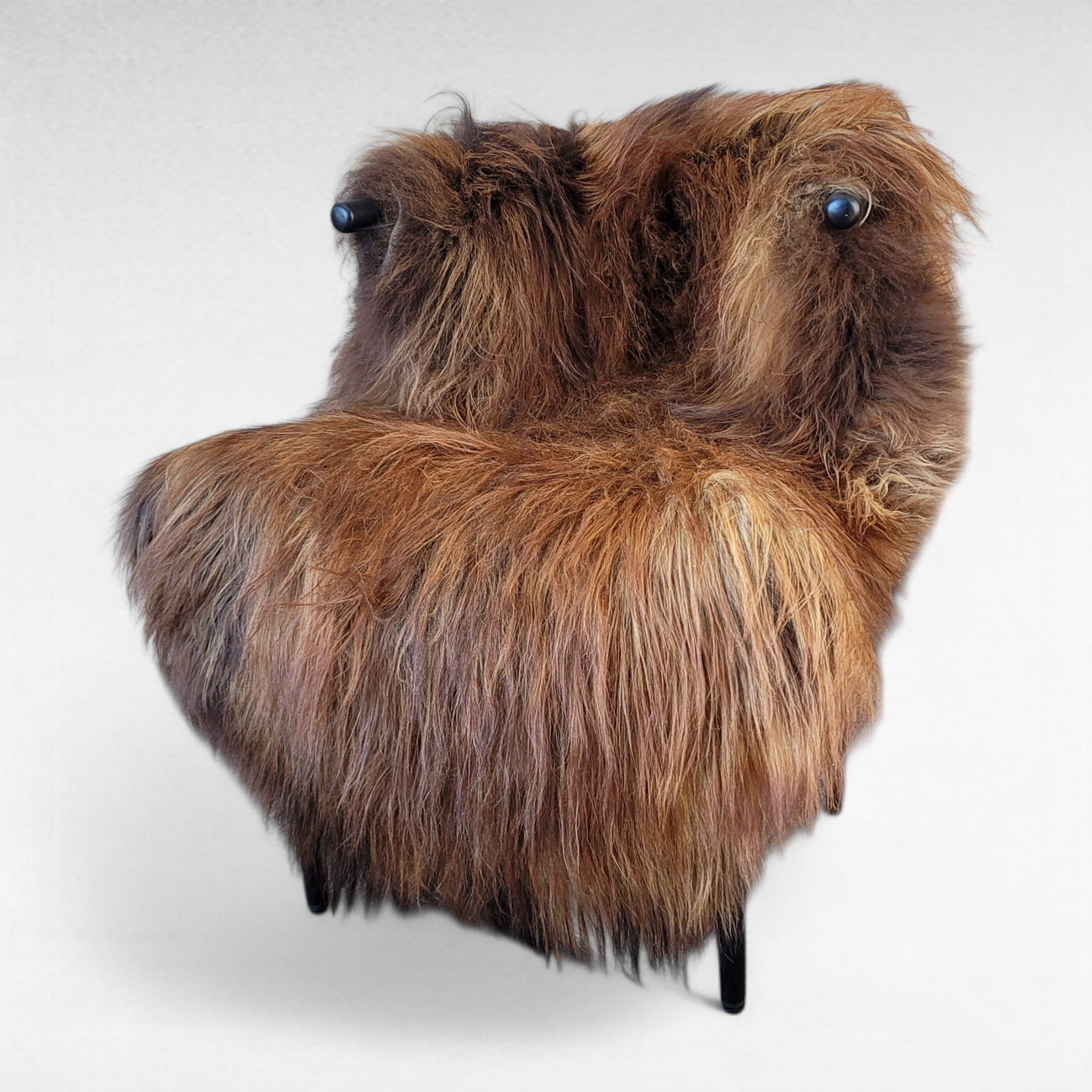 Extra Large Moorit Long Wool Natural Icelandic Sheepskin 57" x 38" Extra Large Moorit Long Wool Natural Icelandic Sheepskin 57" x 38" - genuine Icelandic sheepskin rug from Noryageur