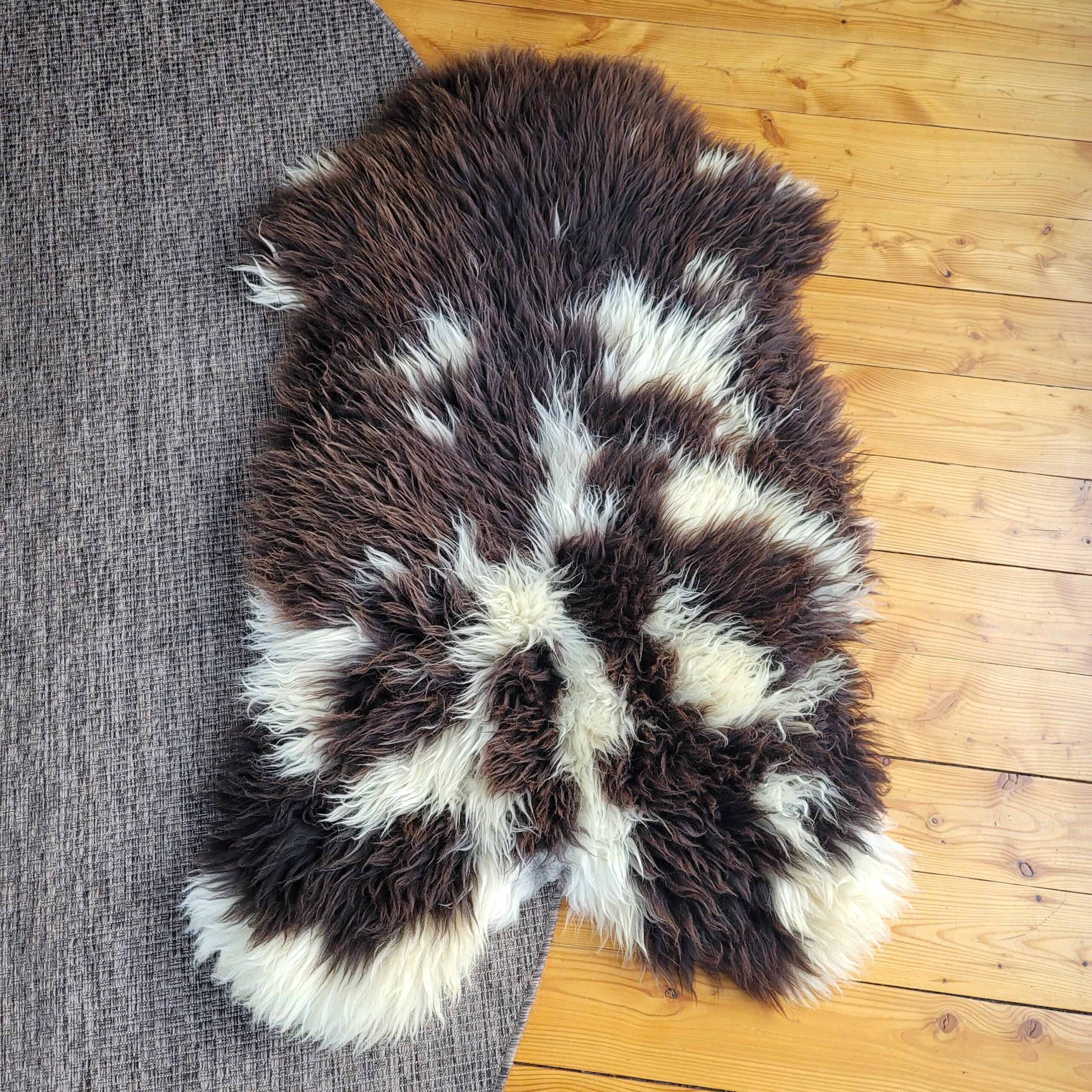 XL Genuine Holland Sheepskin Extra Thick Plush 51" x 31" XL Genuine Holland Sheepskin Extra Thick Plush 51" x 31" - Image 3