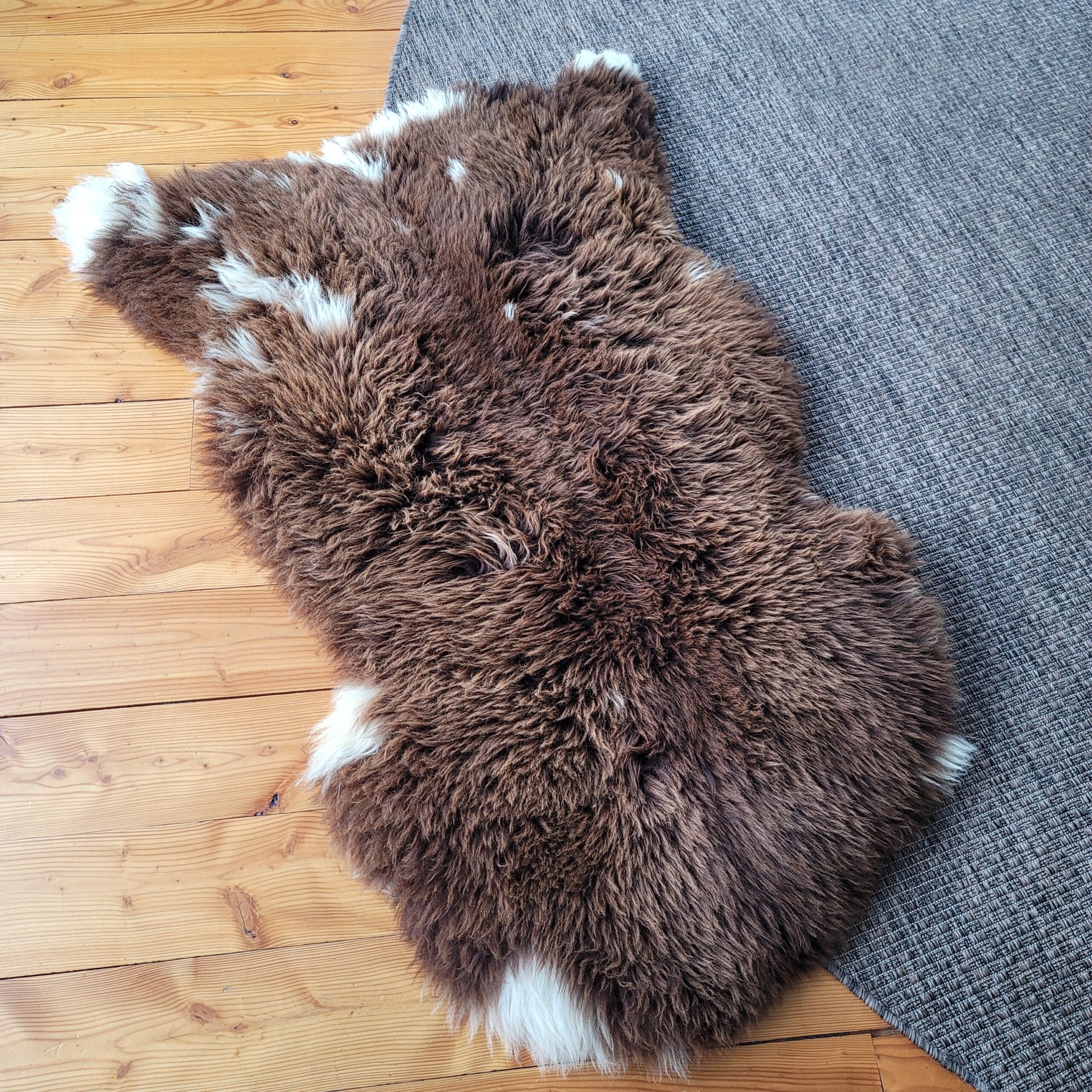 Extra Large Dense Soft Holland Sheepskin 48" x 32" - Image 3