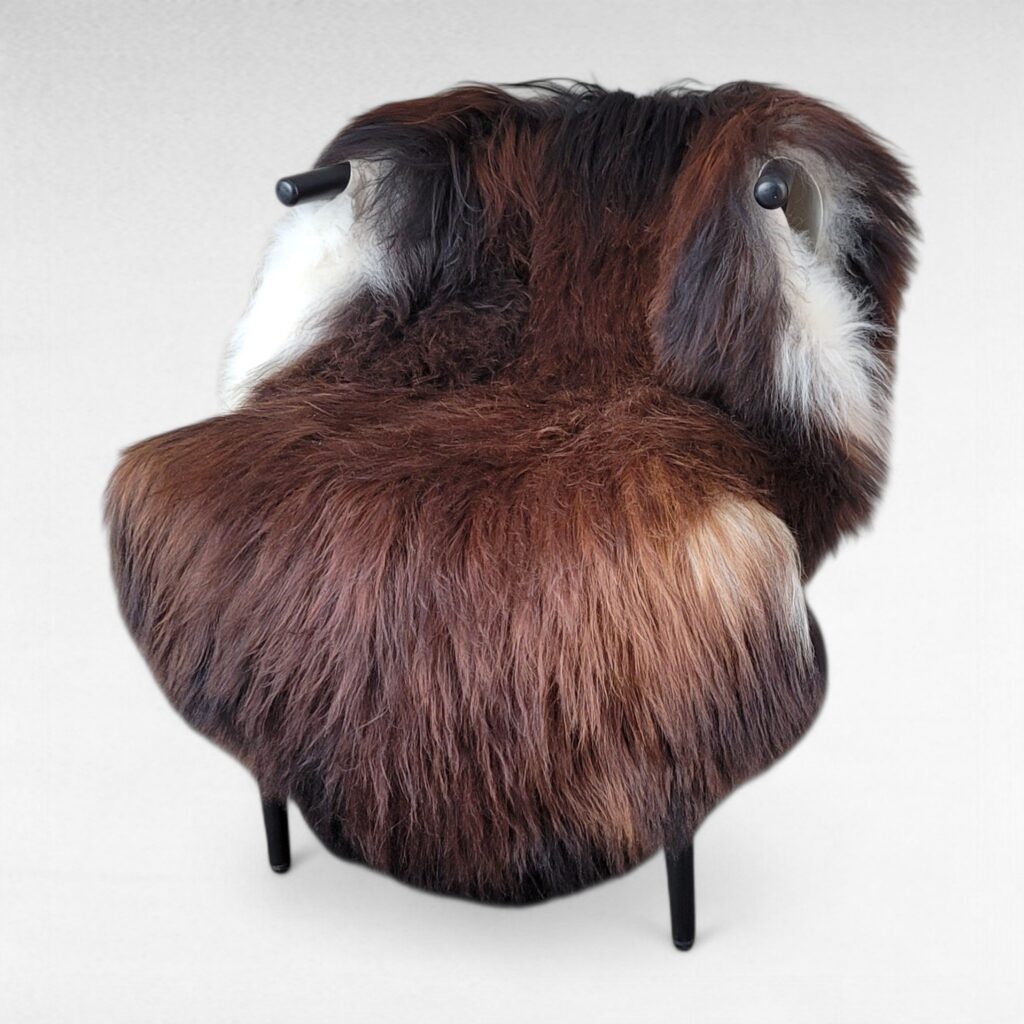 Moorit Icelandic Sheepskin Rug Shown on a Chair used as a chair Cover.
