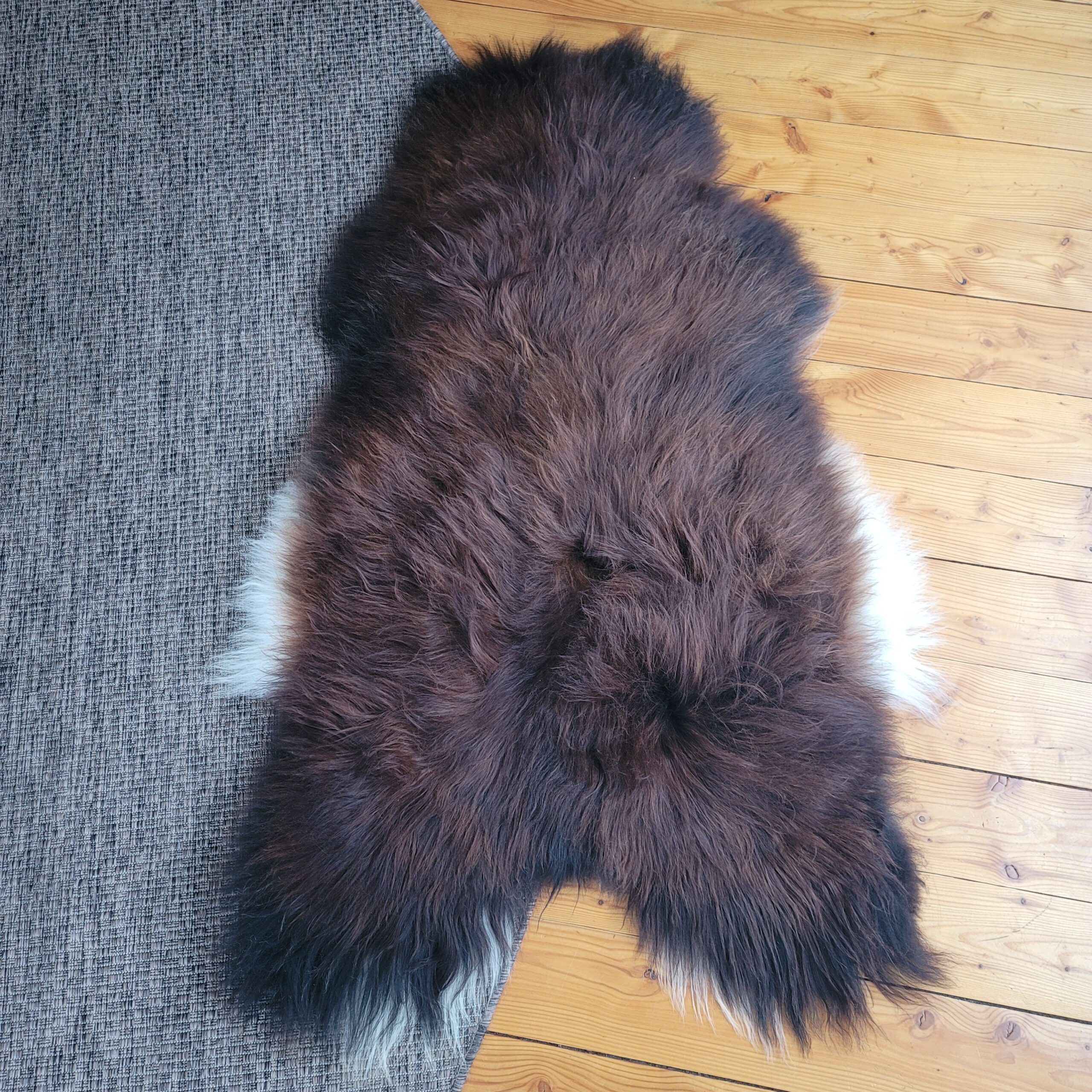 XL Natural Auburn Moorit Genuine Icelandic Sheepskin 54" x 32" XL Natural Auburn Moorit Genuine Icelandic Sheepskin 54" x 32" - Image 4