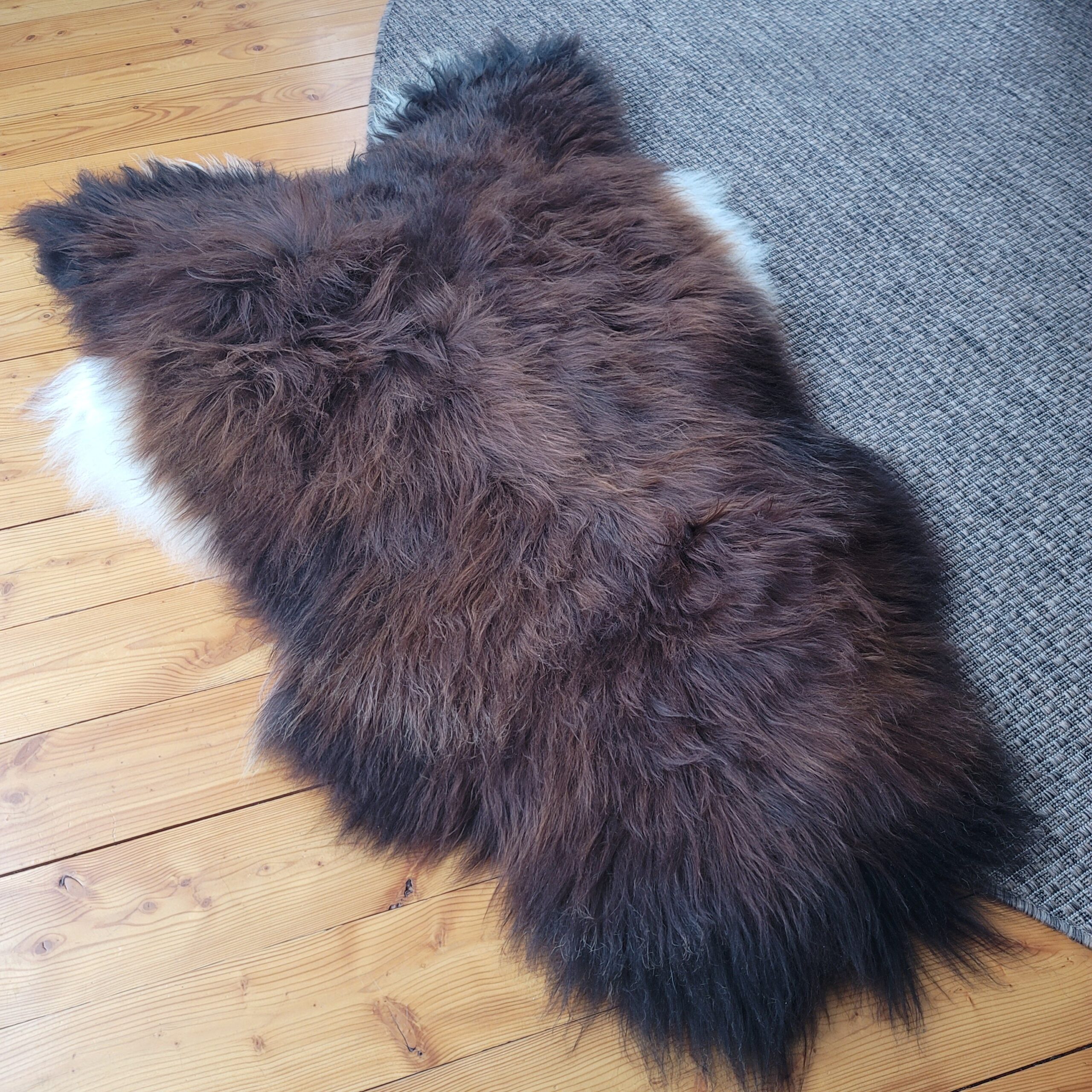 XL Natural Auburn Moorit Genuine Icelandic Sheepskin 54" x 32" XL Natural Auburn Moorit Genuine Icelandic Sheepskin 54" x 32" - Image 3