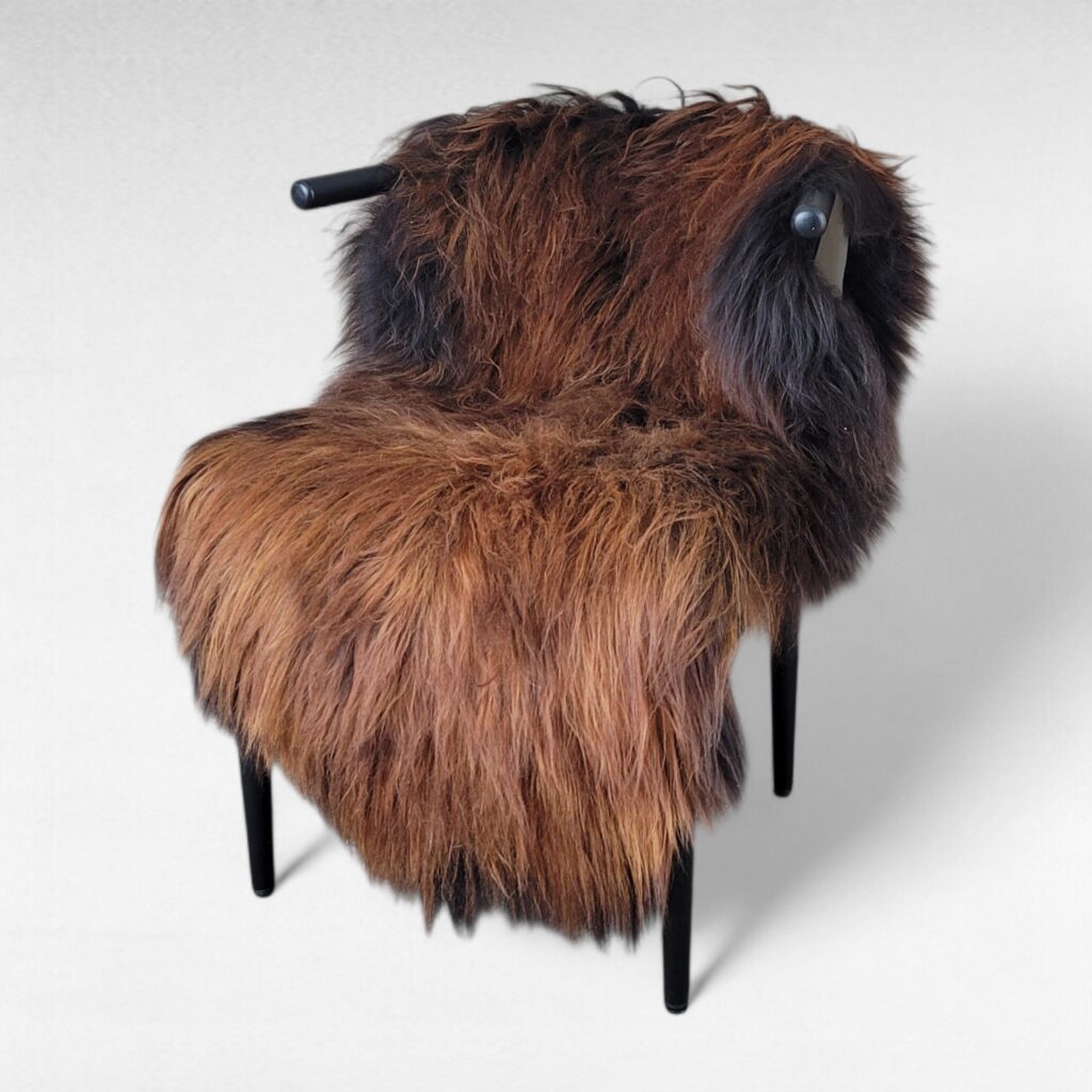 XL Rare Moorit Long Wool Genuine Icelandic Sheepskin (56" x 34")
