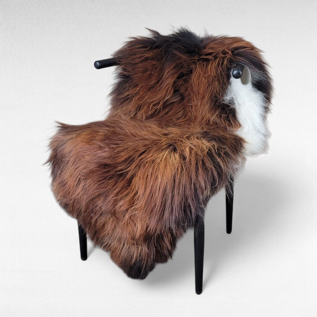 Large Natural Moorit Icelandic Sheepskin (52" x 33")