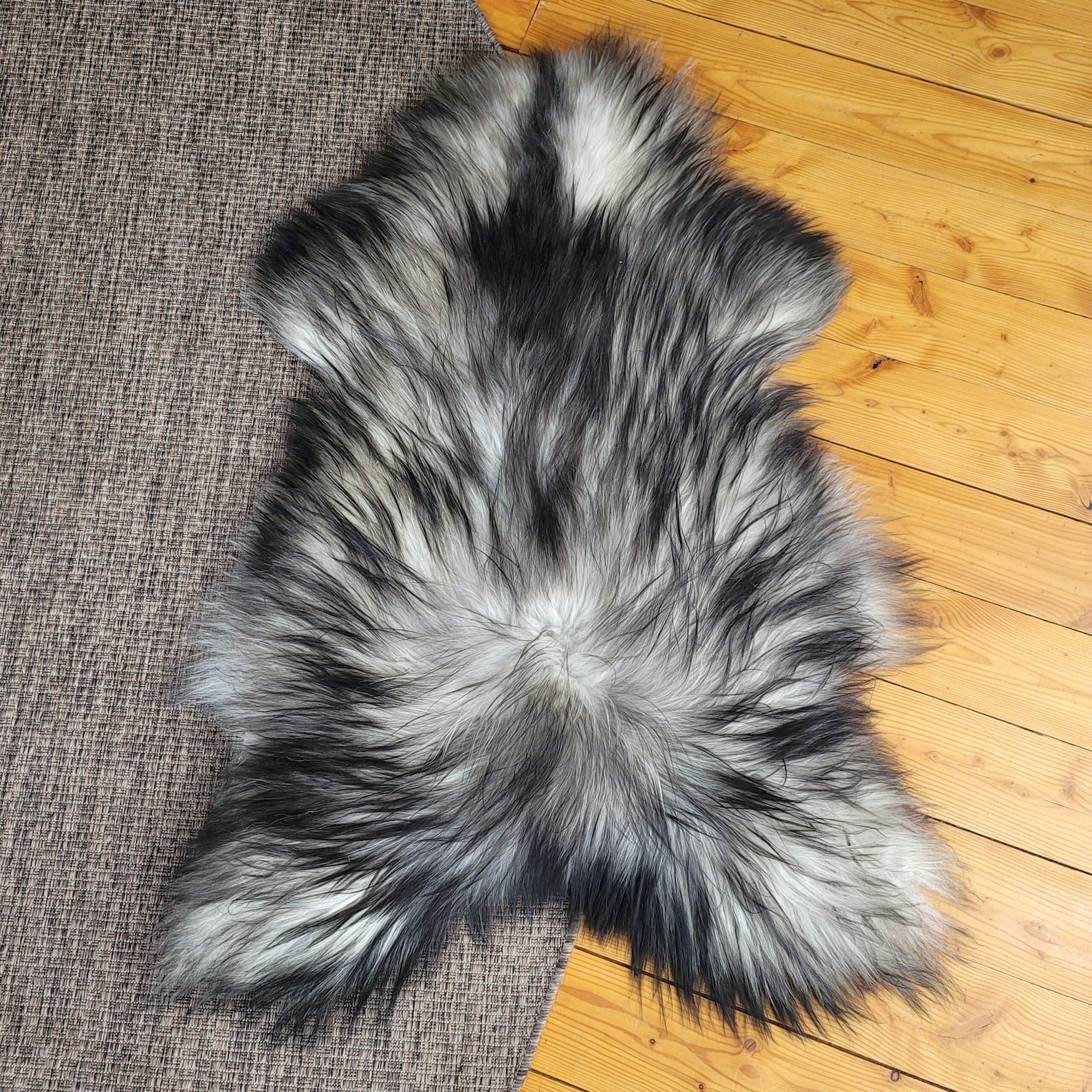 Icelandic Sheepskin - Large Genuine Natural Gray 48" x 32" Large Genuine Gray Moorit Icelandic Sheepskin 48″ x 32″