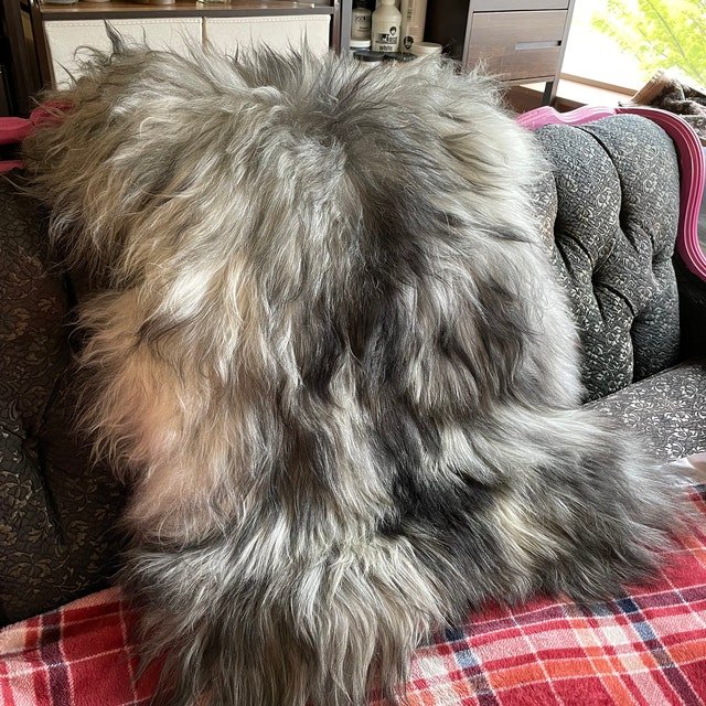 Thick Brown Holland Sheepskin Rug