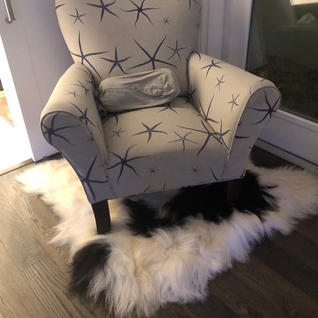 Thick Brown Holland Sheepskin Rug