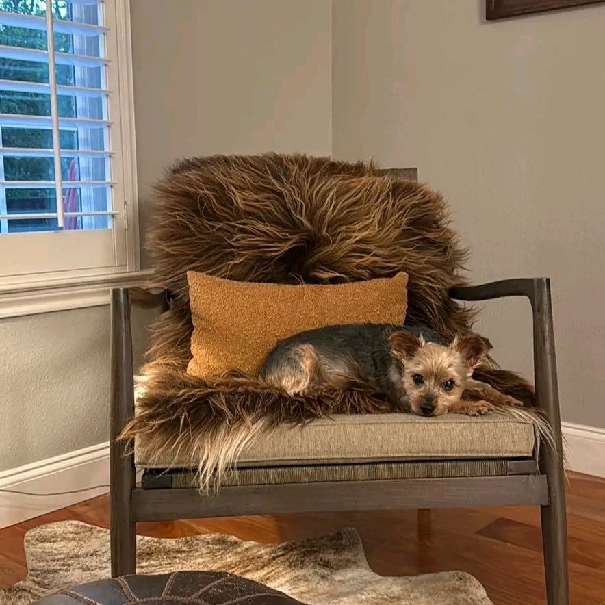 Thick Brown Holland Sheepskin Rug