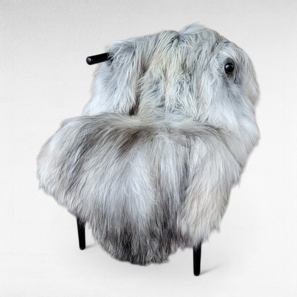XXL Large Rare Gray Mix Moorit Icelandic Sheepskin