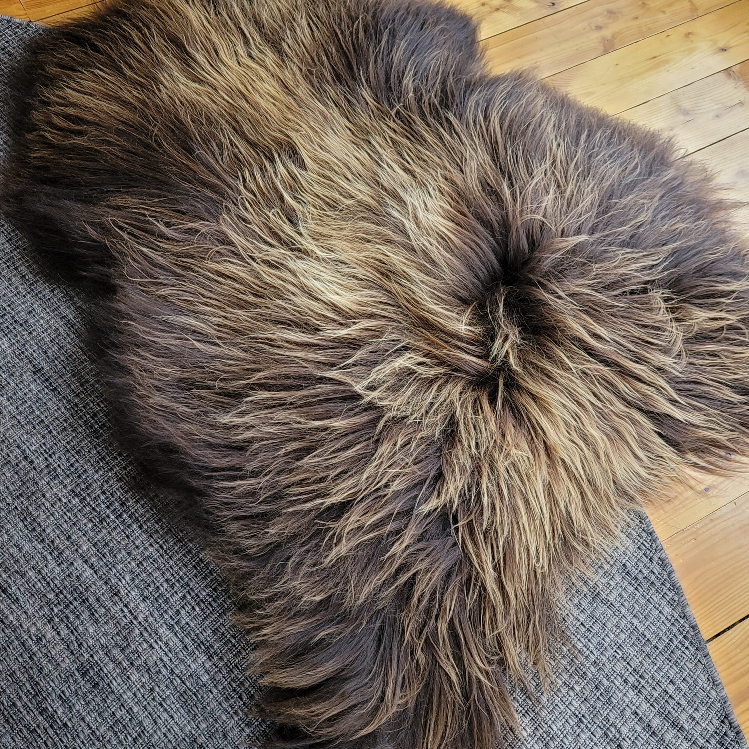 Giant Wide Icelandic Sheepskin - Brown Moorit 55" x 40" Giant Natural Brown Moorit Icelandic Sheepskin