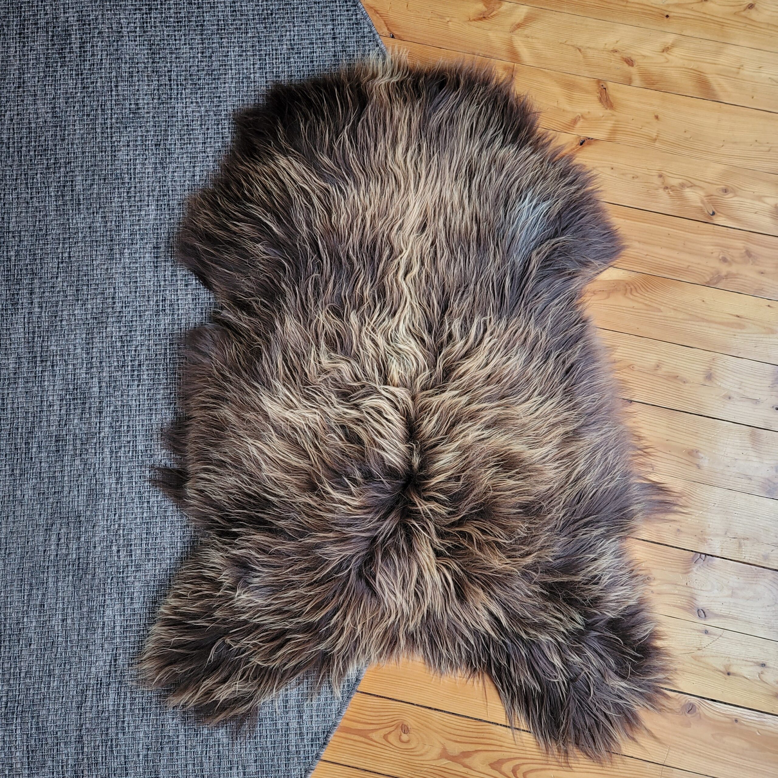 Big Wide Silky Natural Brown Moorit Icelandic Sheepskin 53" x 38" Bug Wide Silky Natural Brown Moorit Icelandic Sheepskin
