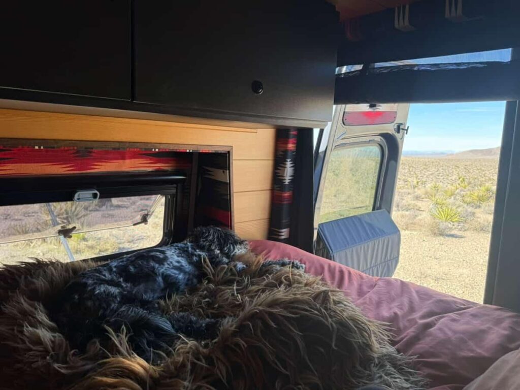dog sleeping on sheepskin in van traveling on the road