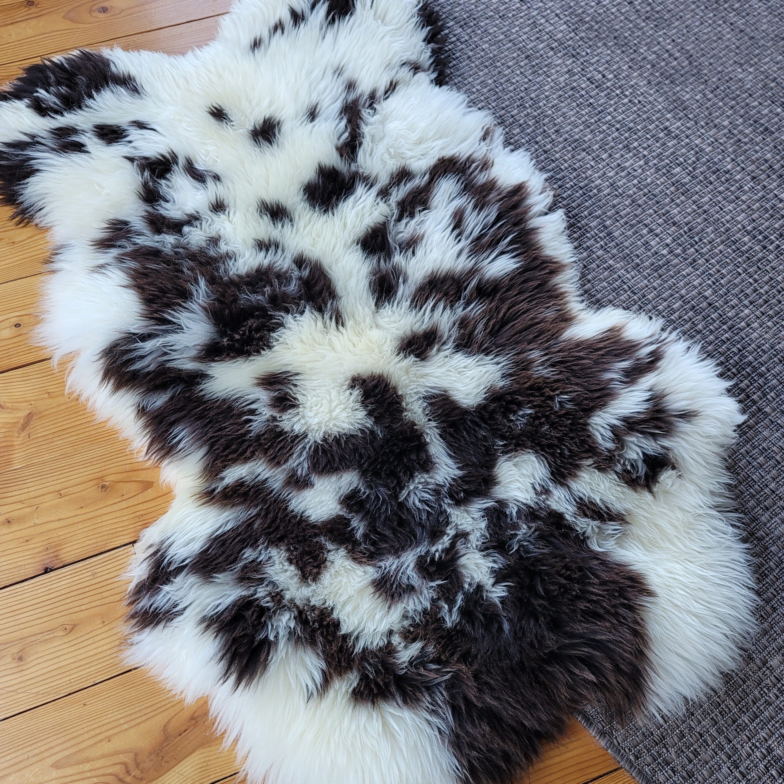 Big Cream Dutch Spotted Sheepskin (46" x 27") Big Cream Dutch Spotted Sheepskin (46" x 27") - Image 4