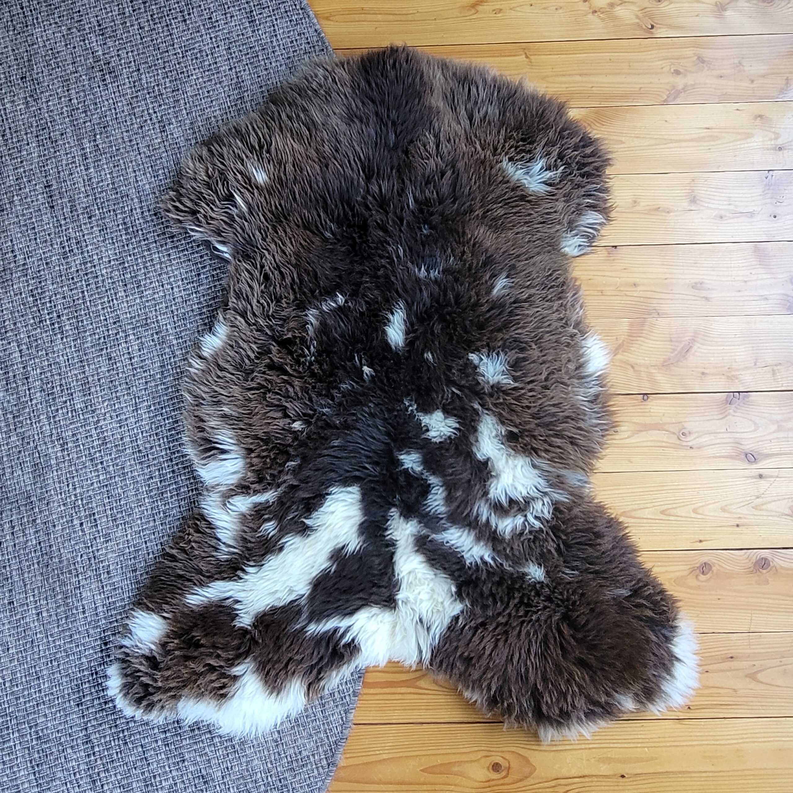 Big Brown Dutch Spotted Sheepskin (45" x 36") Big Brown Dutch Spotted Sheepskin (45" x 36") - Image 5