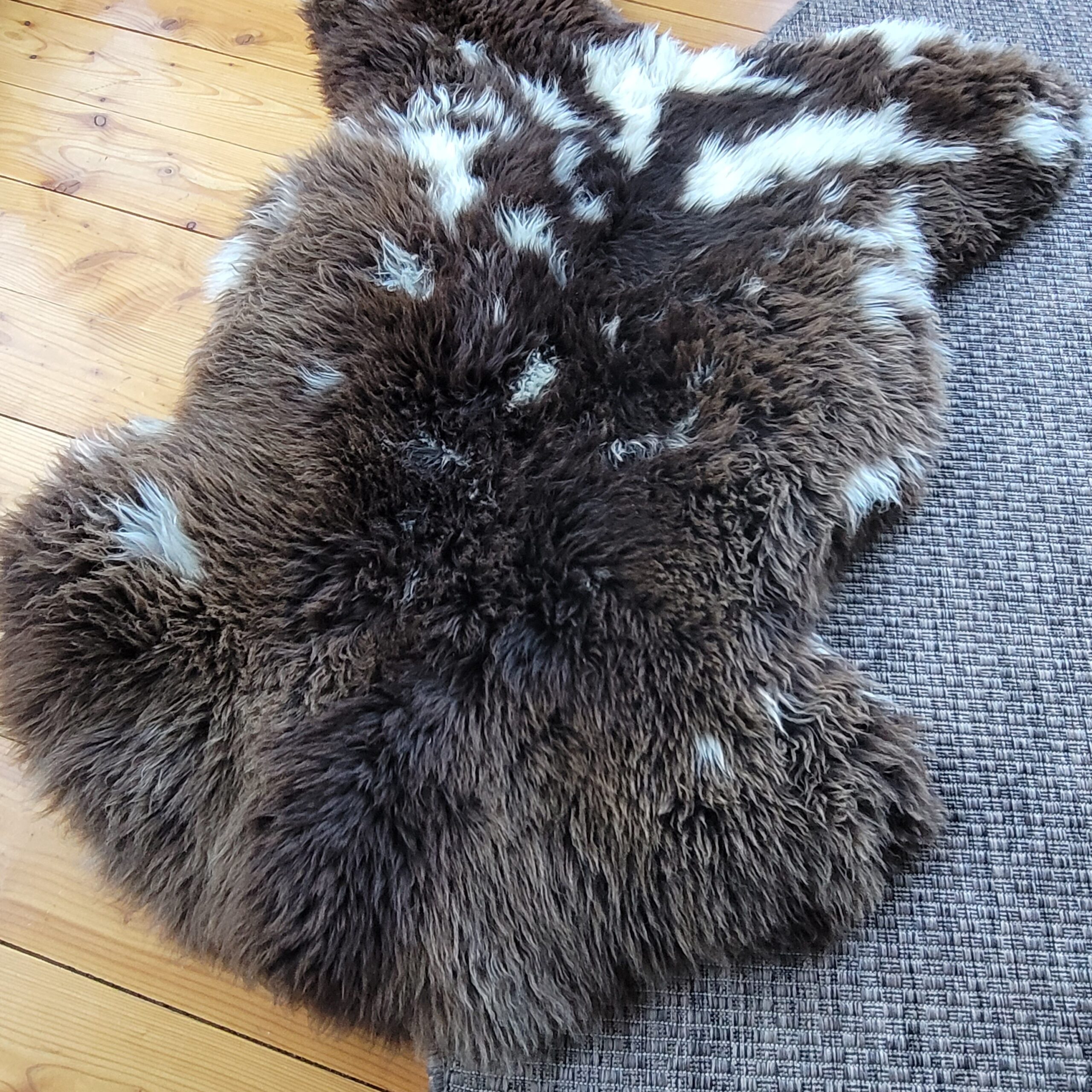 Big Brown Dutch Spotted Sheepskin (45" x 36") Big Brown Dutch Spotted Sheepskin (45" x 36") - Image 4