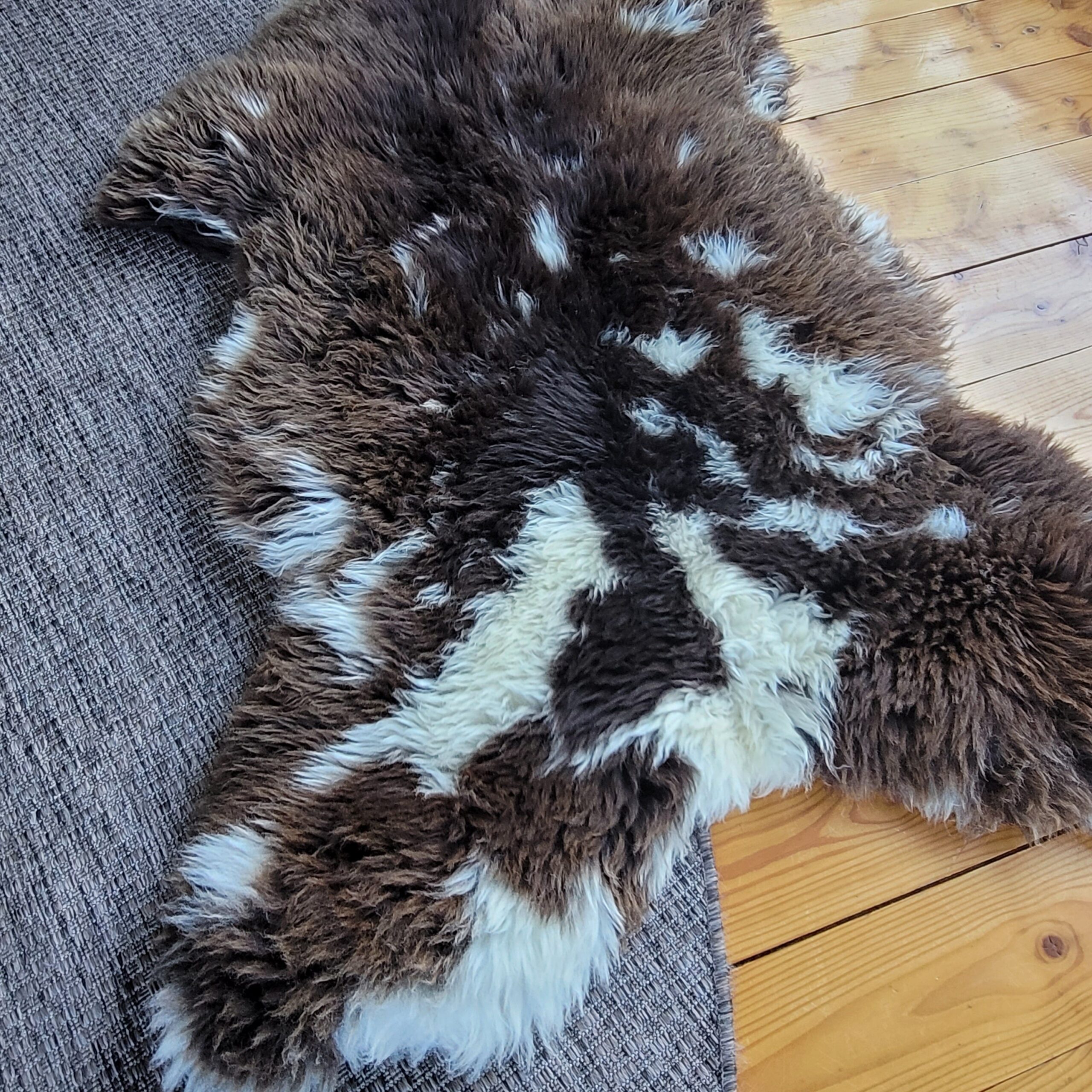 Big Brown Dutch Spotted Sheepskin (45" x 36") Big Brown Dutch Spotted Sheepskin (45" x 36") - Image 3