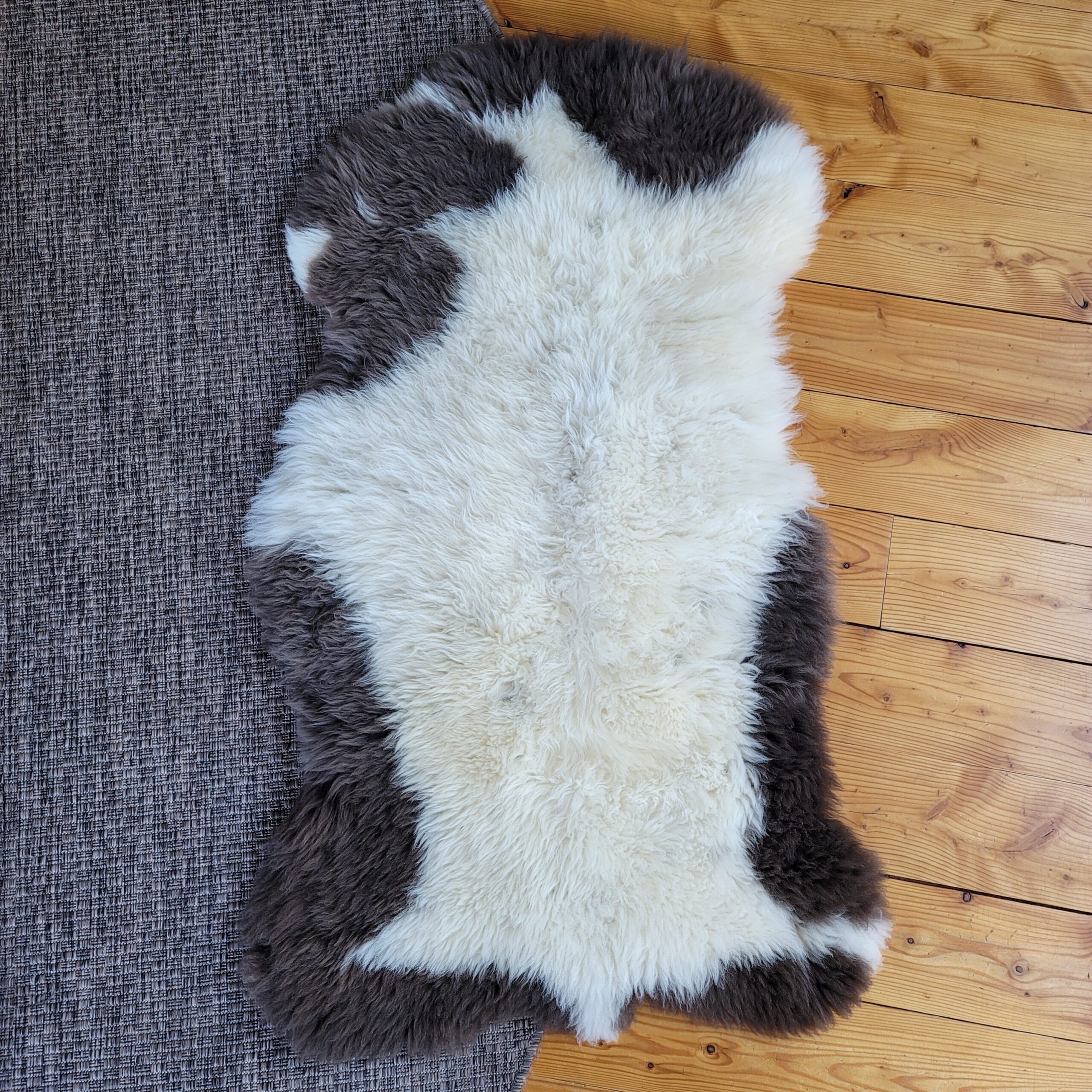 Stitched & Fixed Sheepskin Rug - Luxurious Wool (44" x 27") Stitched & Fixed Sheepskin Rug - Luxurious Wool (44" x 27") - Image 4