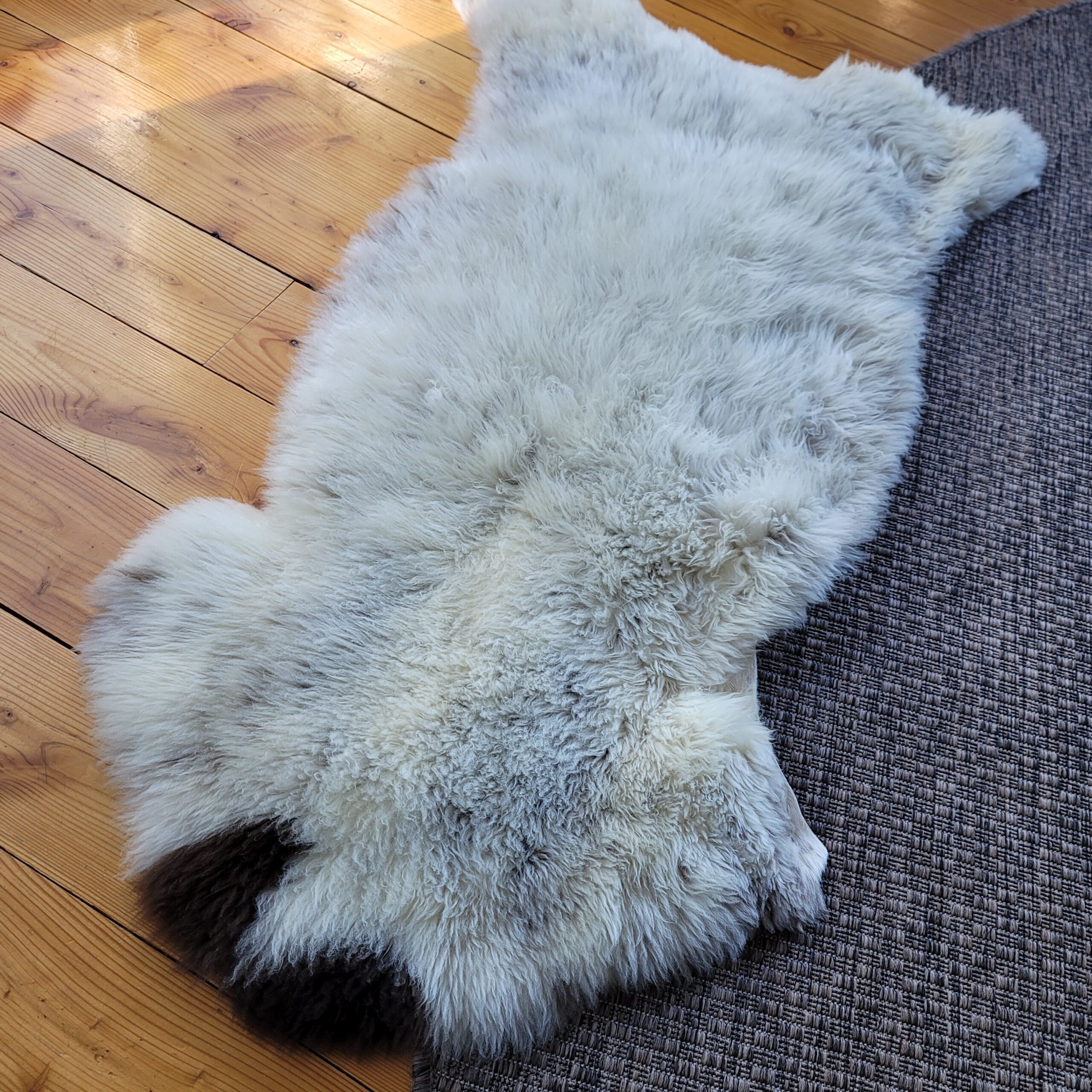 Stitched & Fixed Sheepskin Rug - Luxurious Wool (46" x 27") Stitched & Fixed Sheepskin Rug - Luxurious Wool (46" x 27") - Image 4
