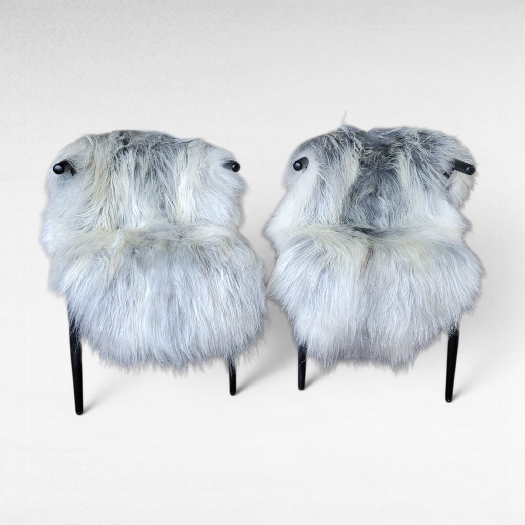 Set of 2 White & Gray Icelandic Sheepskins 50" x 31"