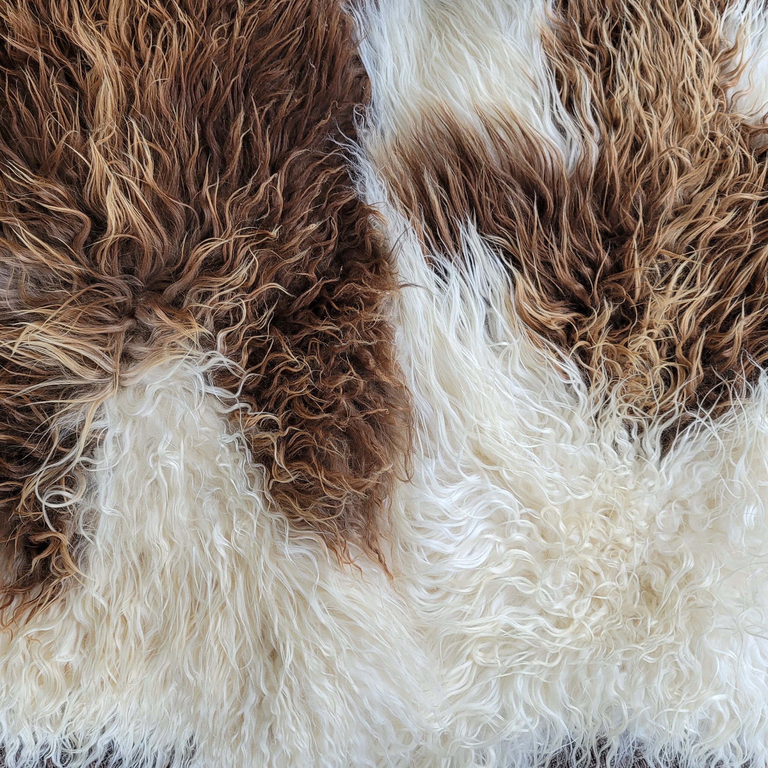 Set of 2 Copper + Ecru Curly Wool Icelandic Sheepskins 45" x 30" Set of 2 Copper + Ecru Curly Wool Icelandic Sheepskins 45" x 30" - Image 4