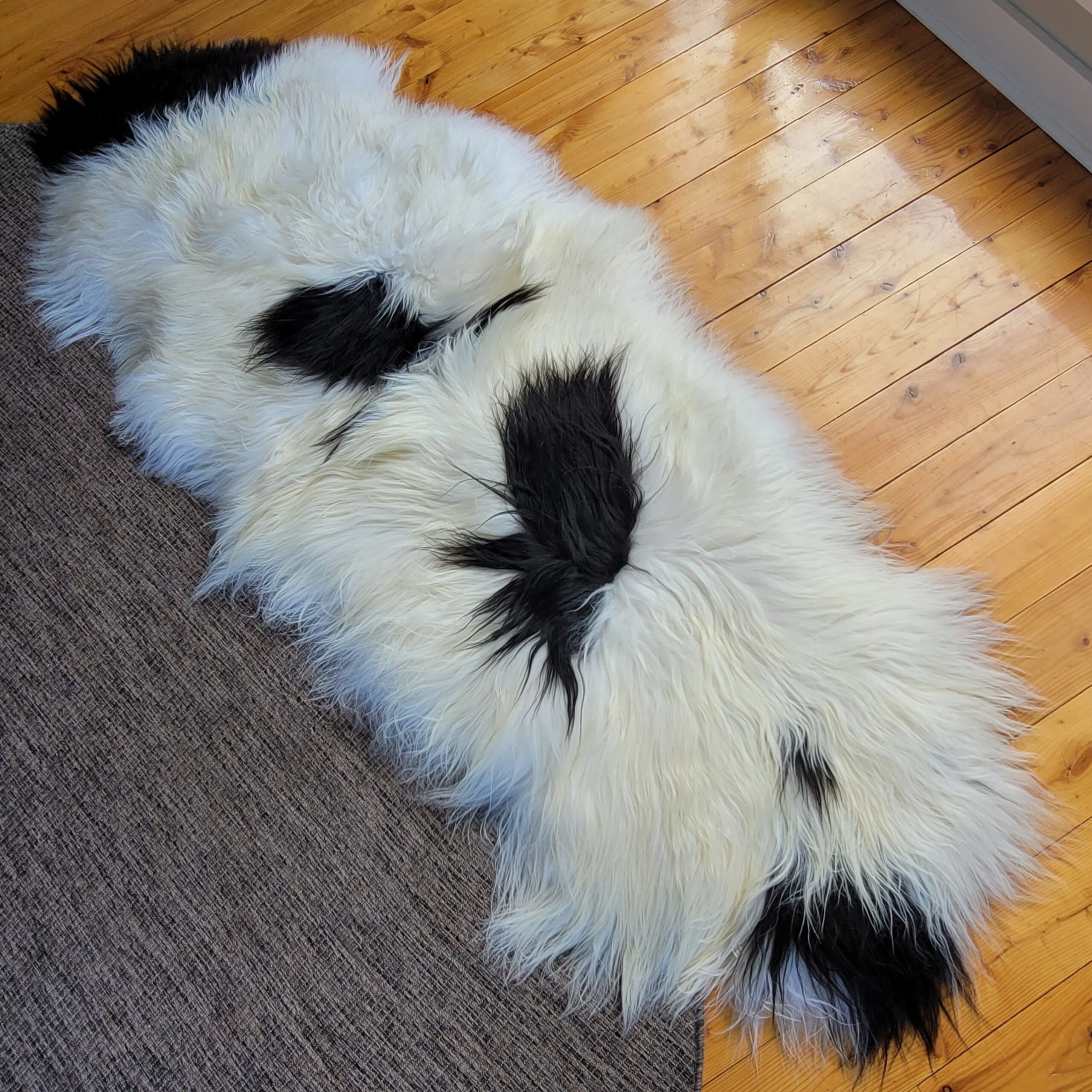 Spotted Double Pelt Icelandic Sheepskin 7' Long Spotted Double Pelt Icelandic Sheepskin 7' Long - Image 6