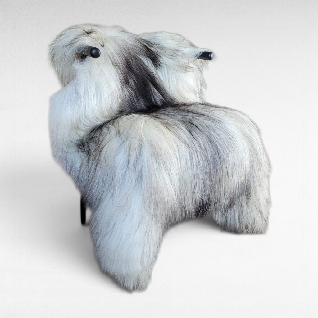 Big Beautiful Gray Icelandic Sheepskin White + Gray XL (54" x 36")
