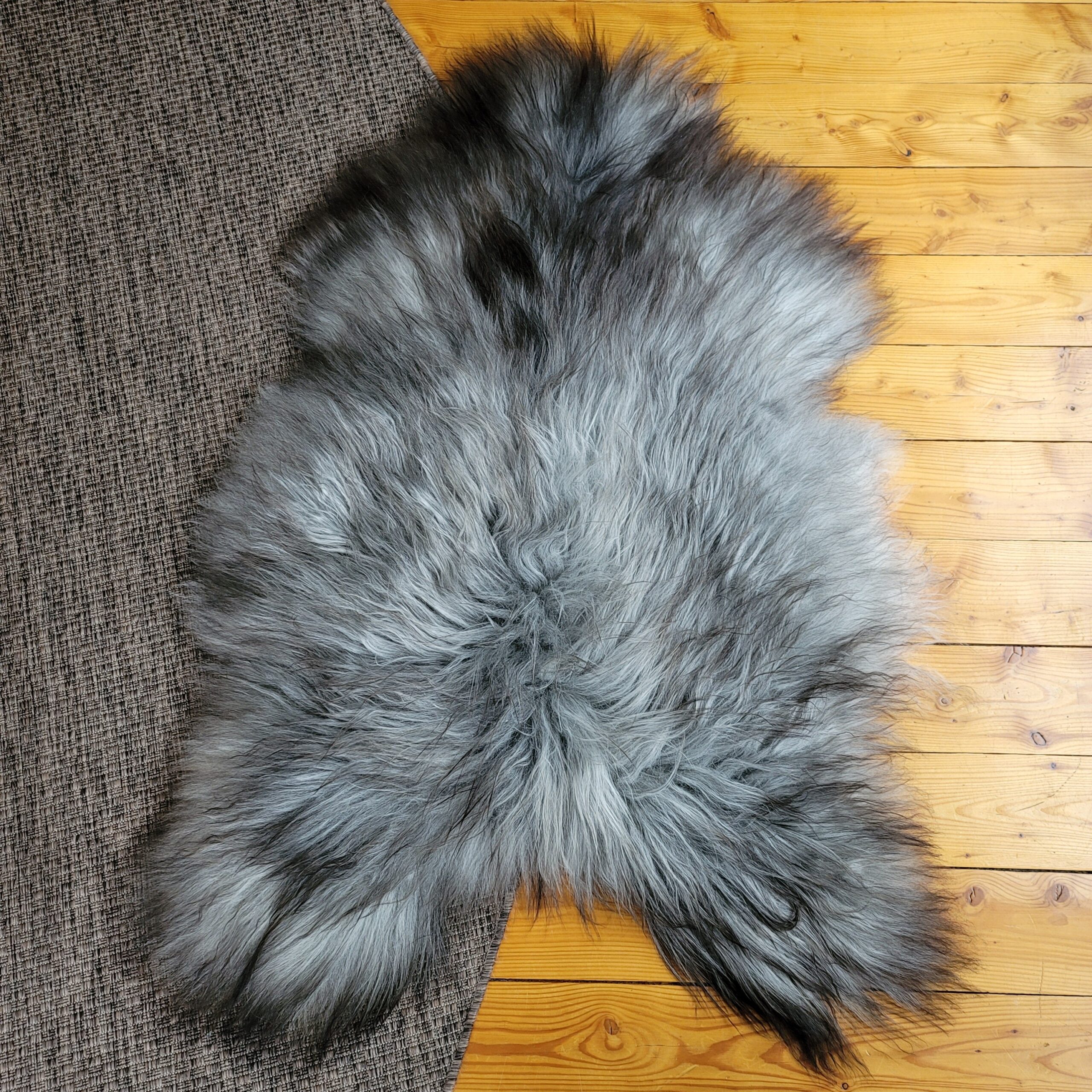Gray Icelandic Sheepskin Rug 51" x 34" - Image 4