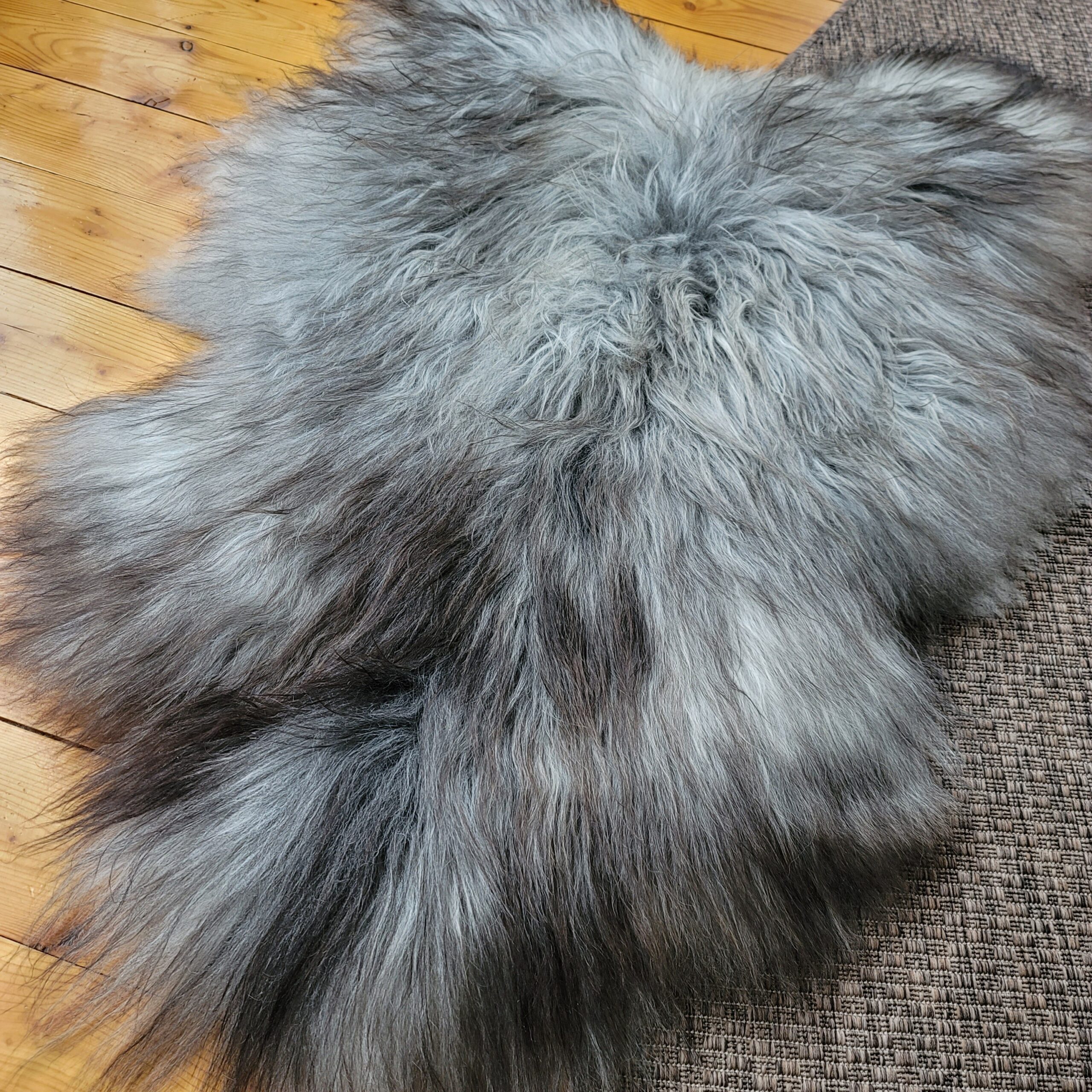 Gray Icelandic Sheepskin Rug 51" x 34" - Image 3
