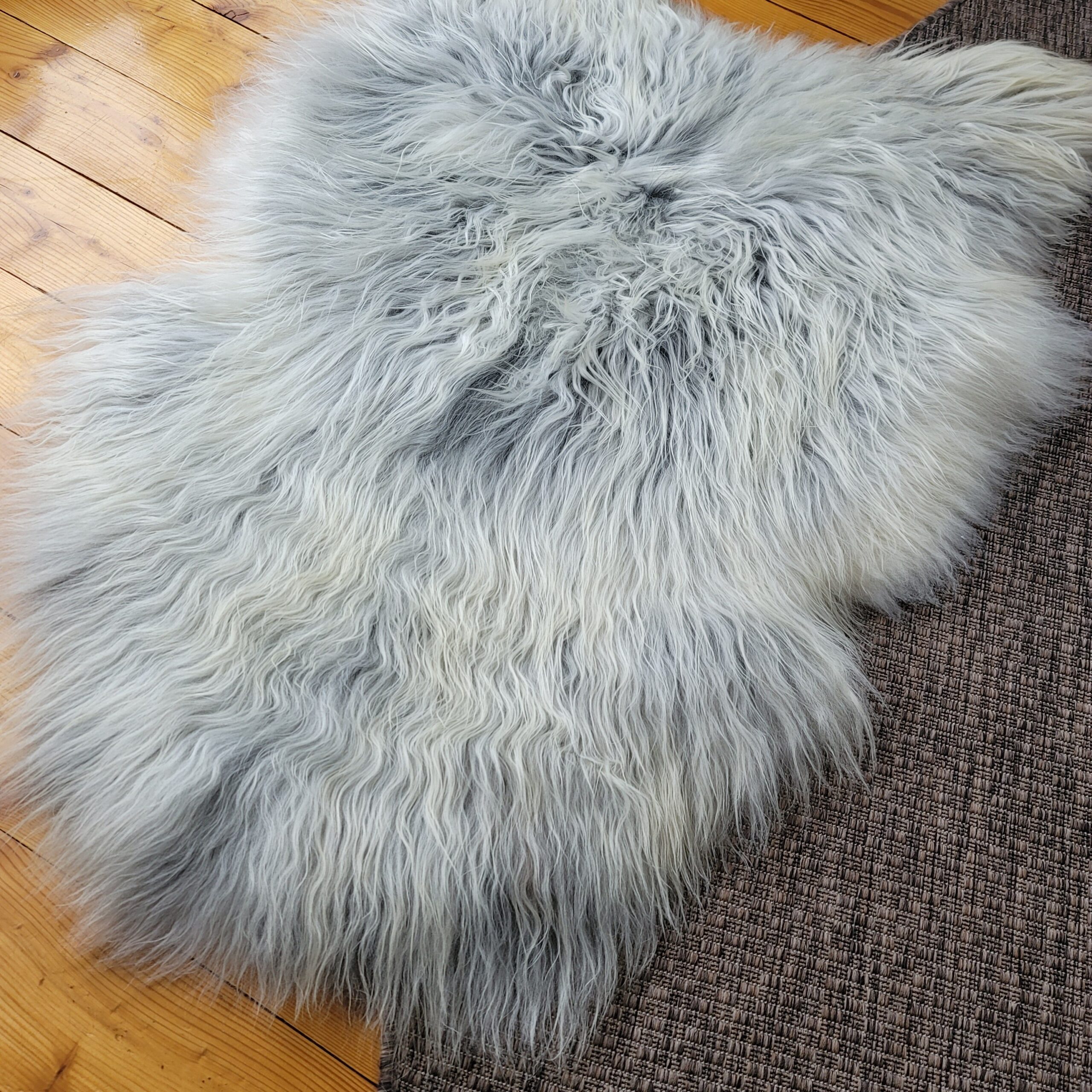 Gray Icelandic Sheepskin Wide, Long + Silky Soft 50" x 33" - Image 3