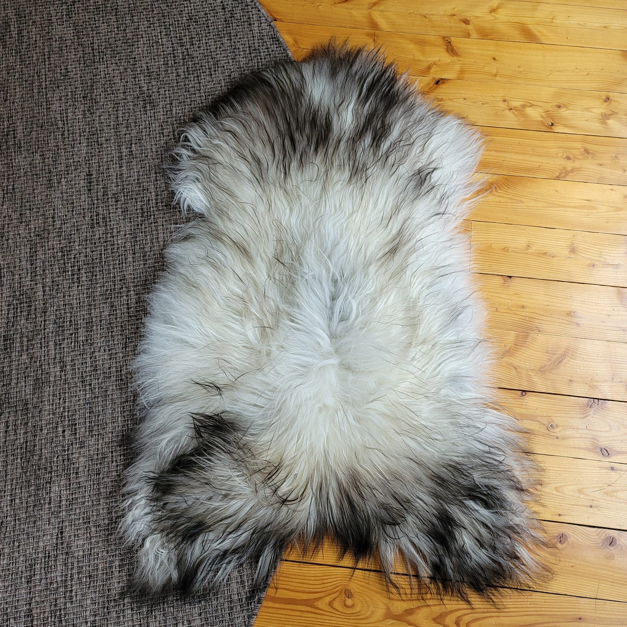 Gray Icelandic Sheepskin Wide, Long + Silky Soft 50" x 33" - Image 5