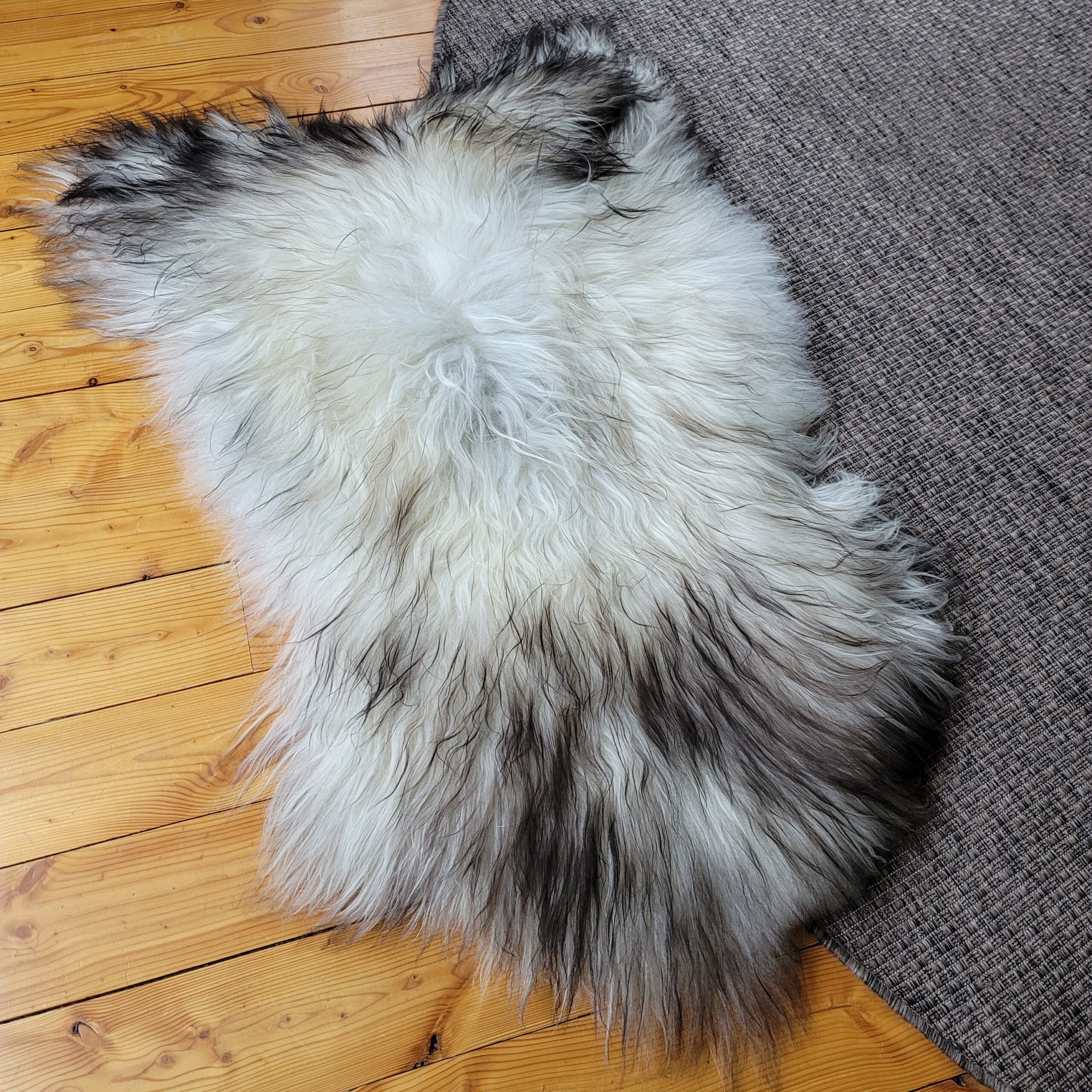 Gray Icelandic Sheepskin Wide, Long + Silky Soft 50" x 33" - Image 4