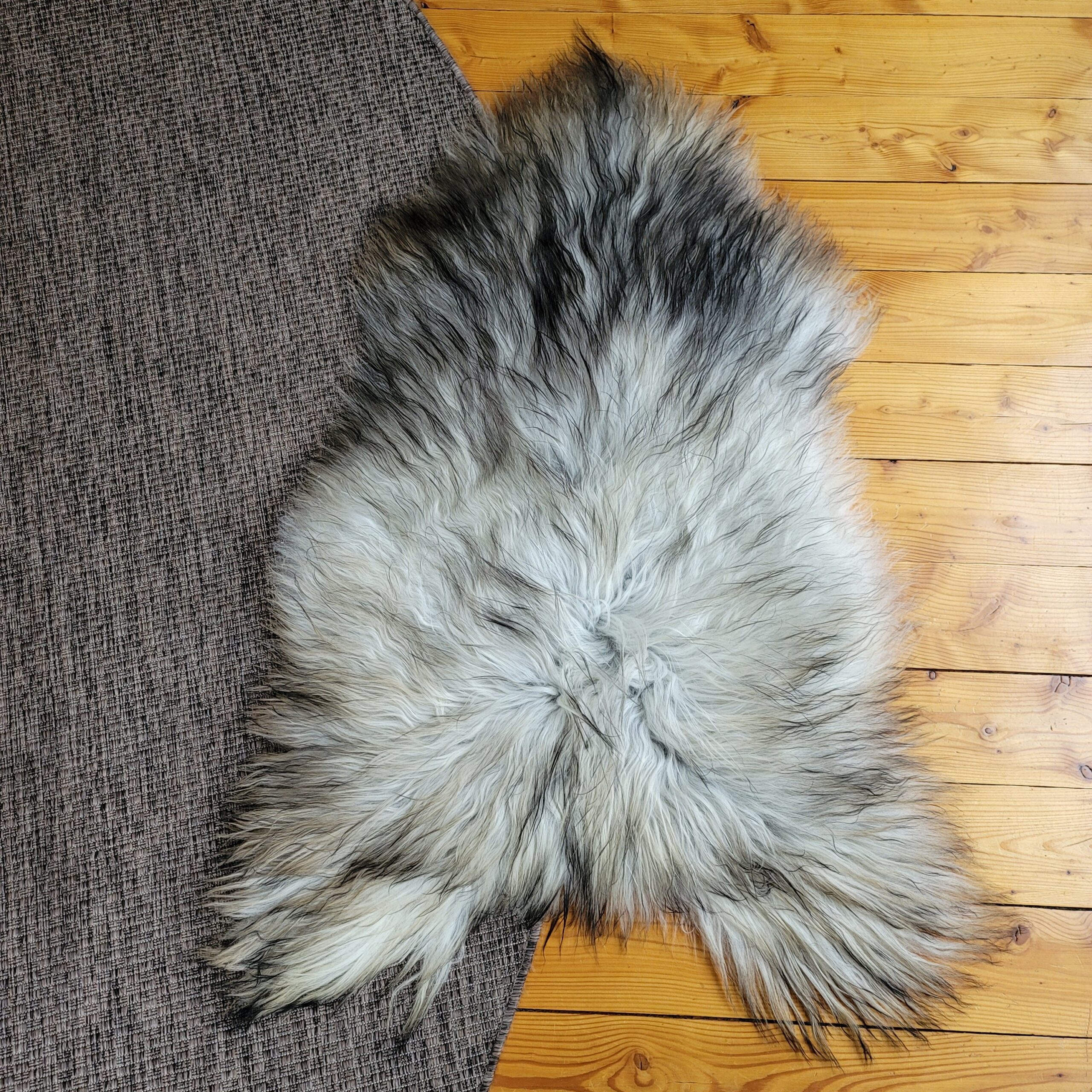 Gray Icelandic Sheepskin Pelt 51" x 32" - Image 4