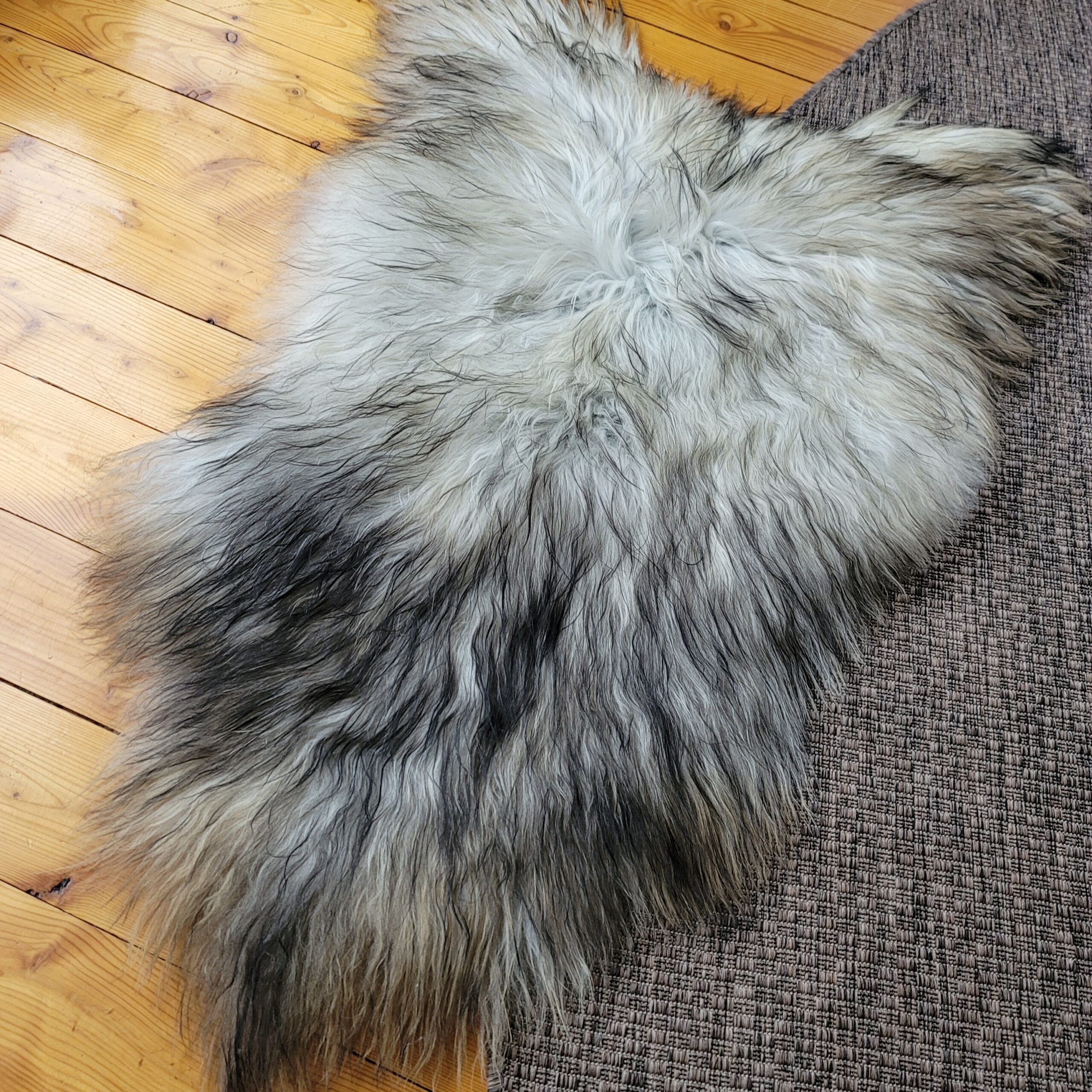 Gray Icelandic Sheepskin Pelt 51" x 32" - Image 3